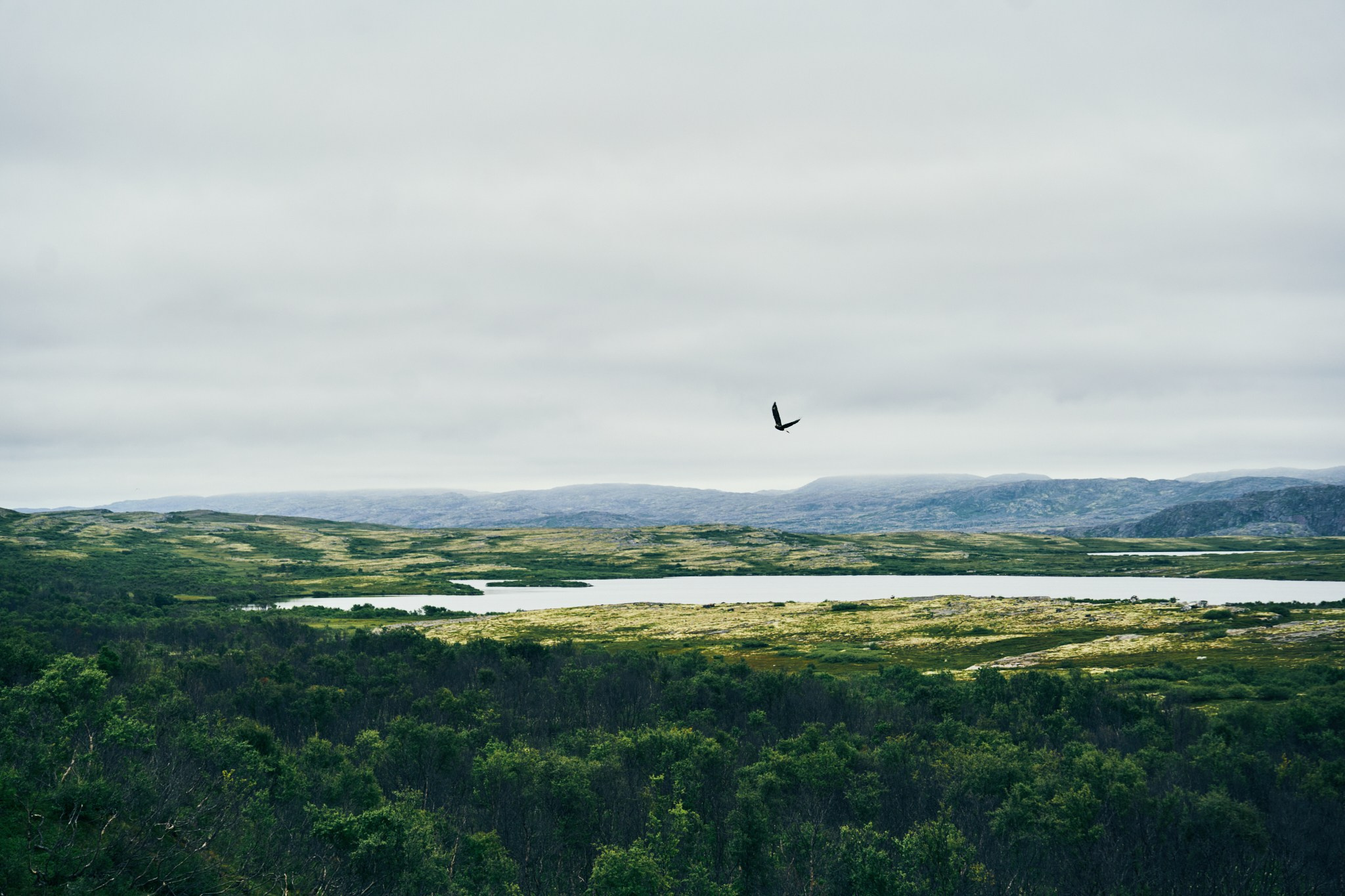 Путешествие на Север в 2023 году. Внедорожные путешествия — OFFROADTRIP