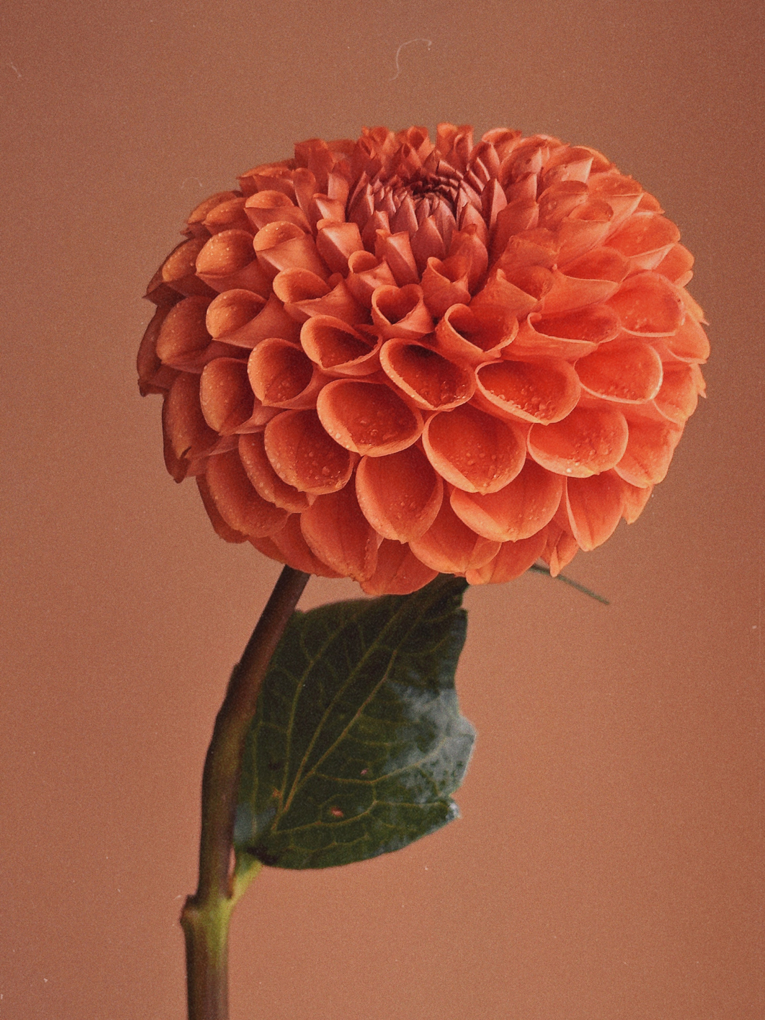 Предметная съёмка. Чувственный мобильный фотограф в Казани и Сочи Дьяченко Дарья