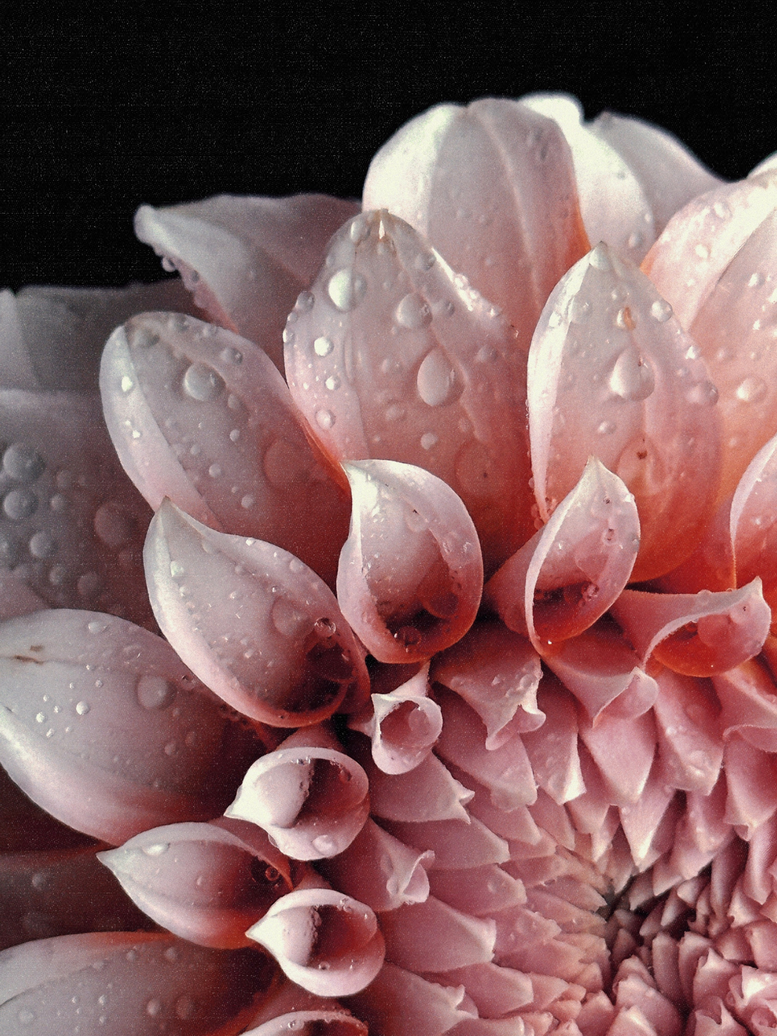 Предметная съёмка. Чувственный мобильный фотограф в Казани и Сочи Дьяченко Дарья