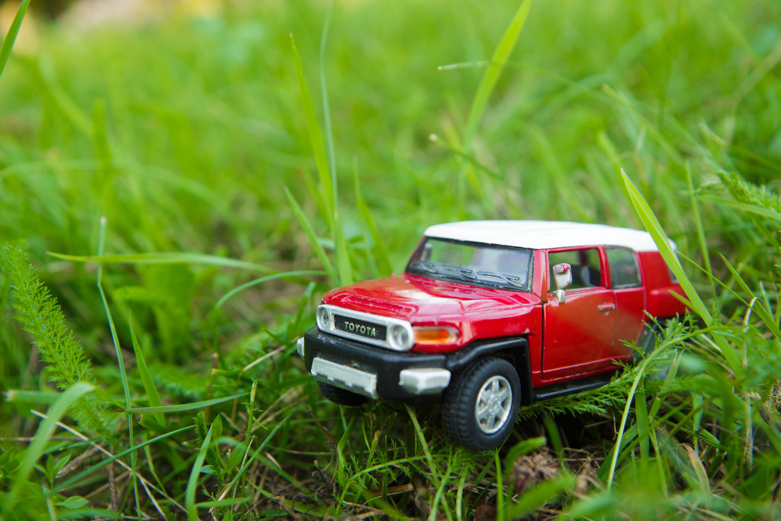 Саша, Тоня и Андрюша. Свадебный и семейный фотограф в Могилеве и Минске