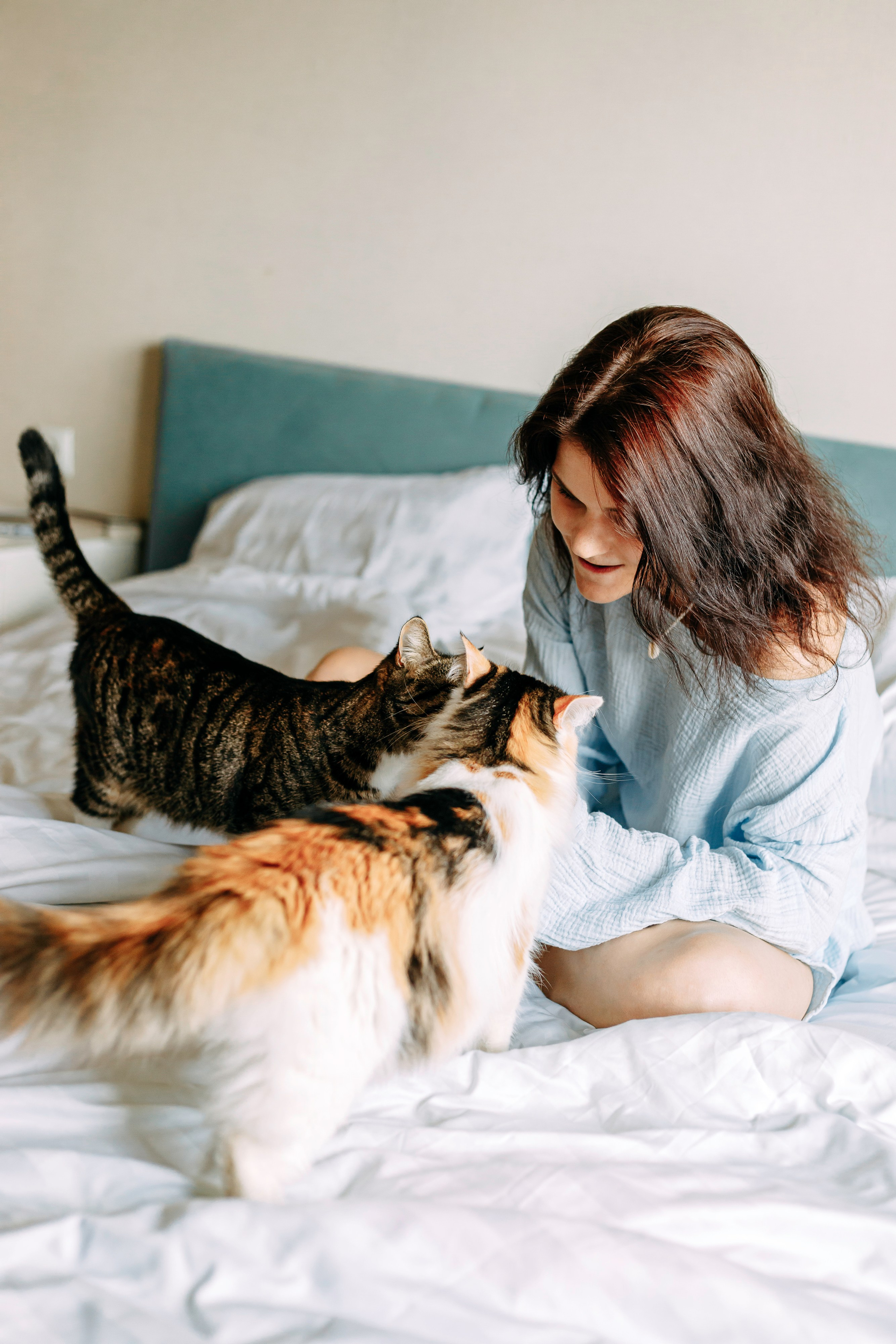 ИРА, САША И 5 КОШЕК