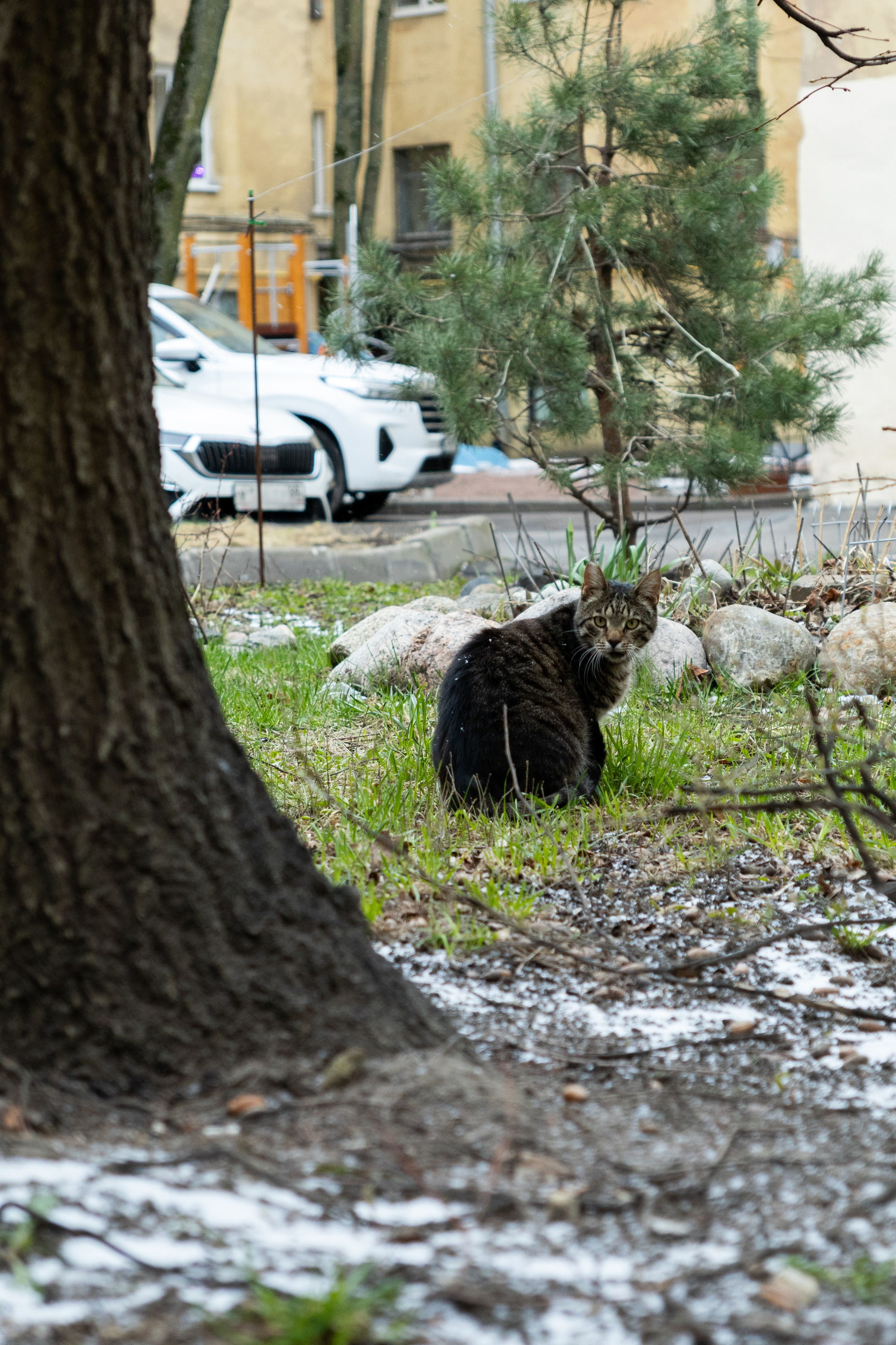 Уличная фотография. Репортажный фотограф в СПб