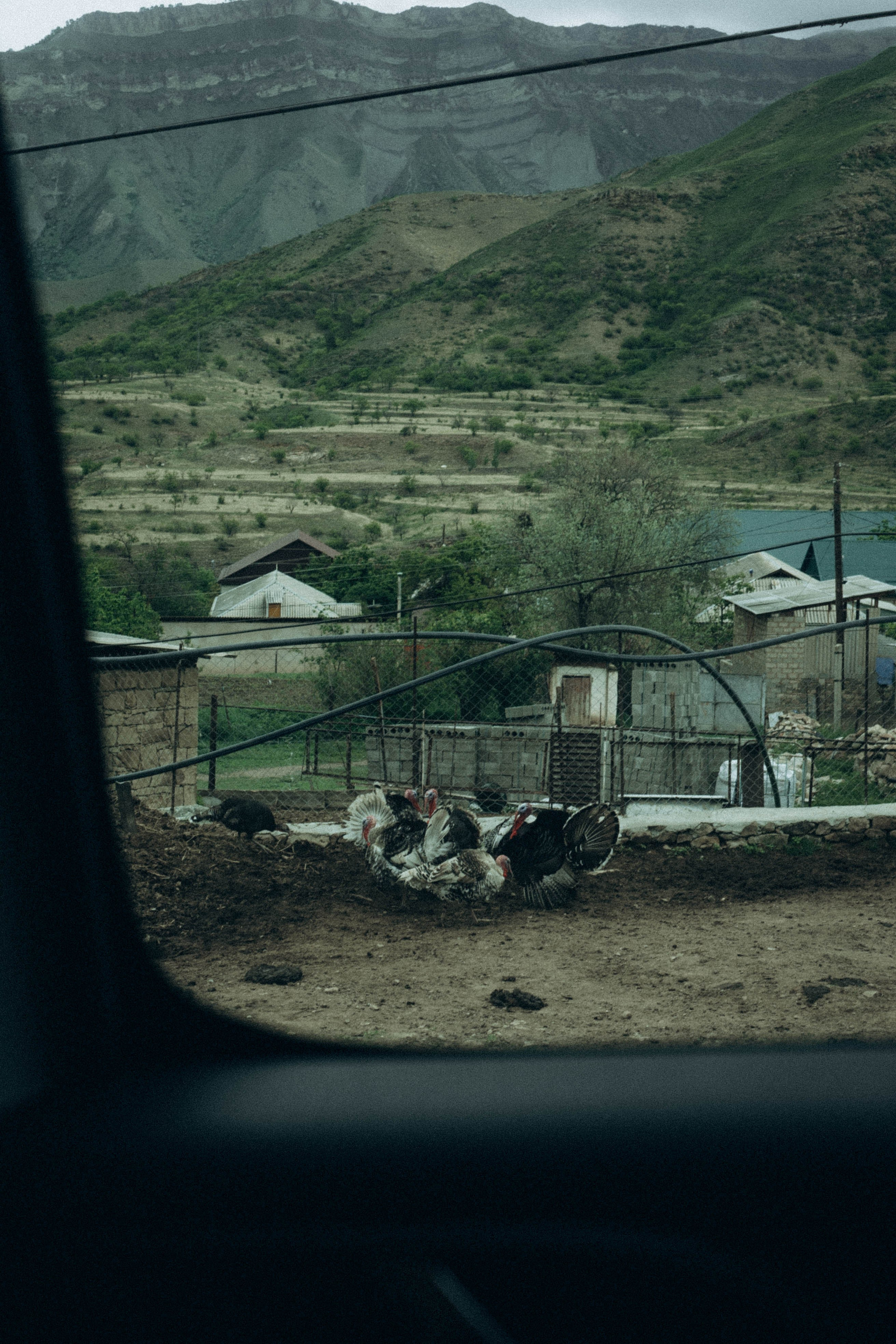 Кавказ. Профессиональный фотограф, Санкт-Петербург — Виктория Богомолова