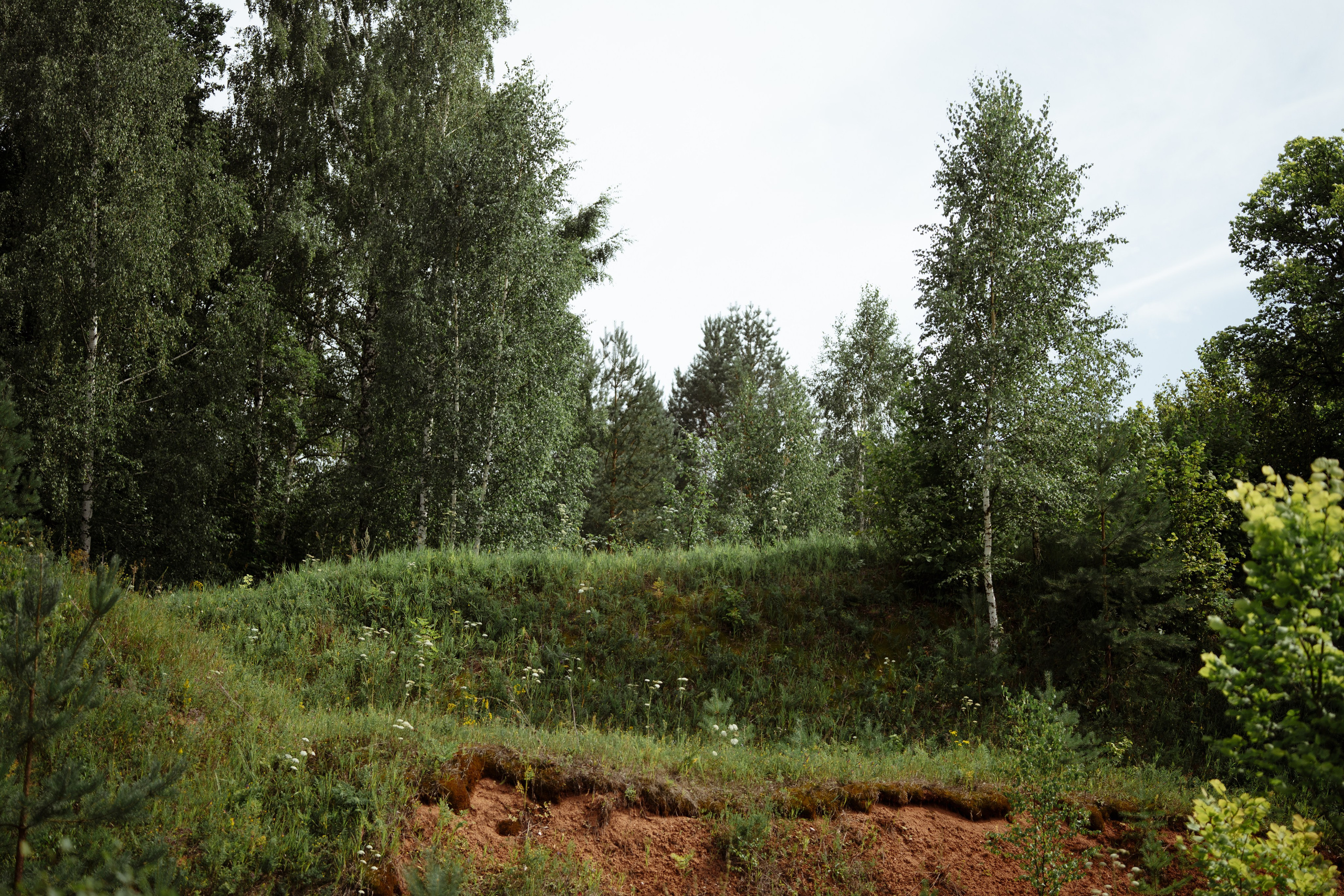 Сюжет № 10|Иван Викторович Евстифеев