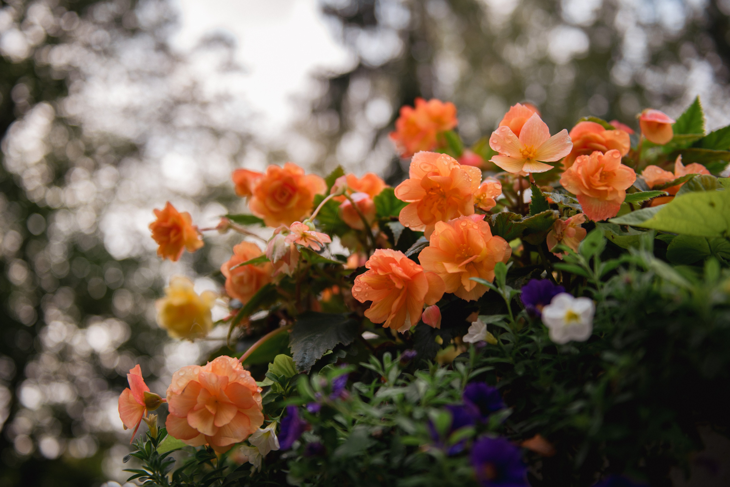 Осень. Портретный и архитектурный фотограф в Москве и Санкт-Петербурге