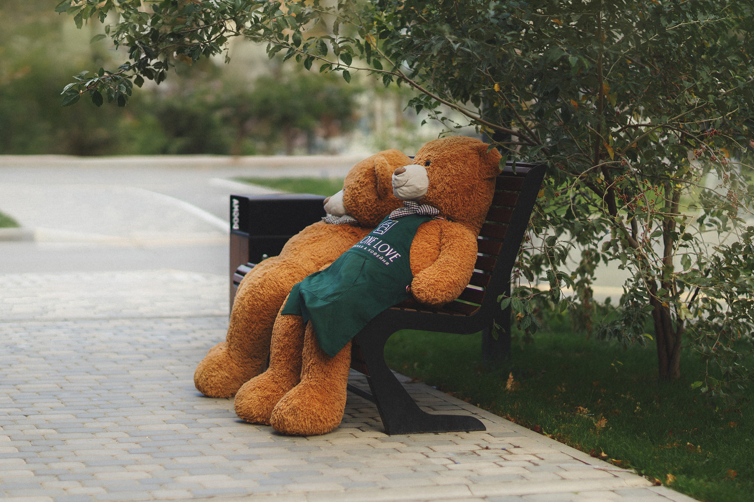 Проект «366»|2024|Фото каждый день. LENA GRACE photographer ||ЛЕНА ГРЭЙС фотограф