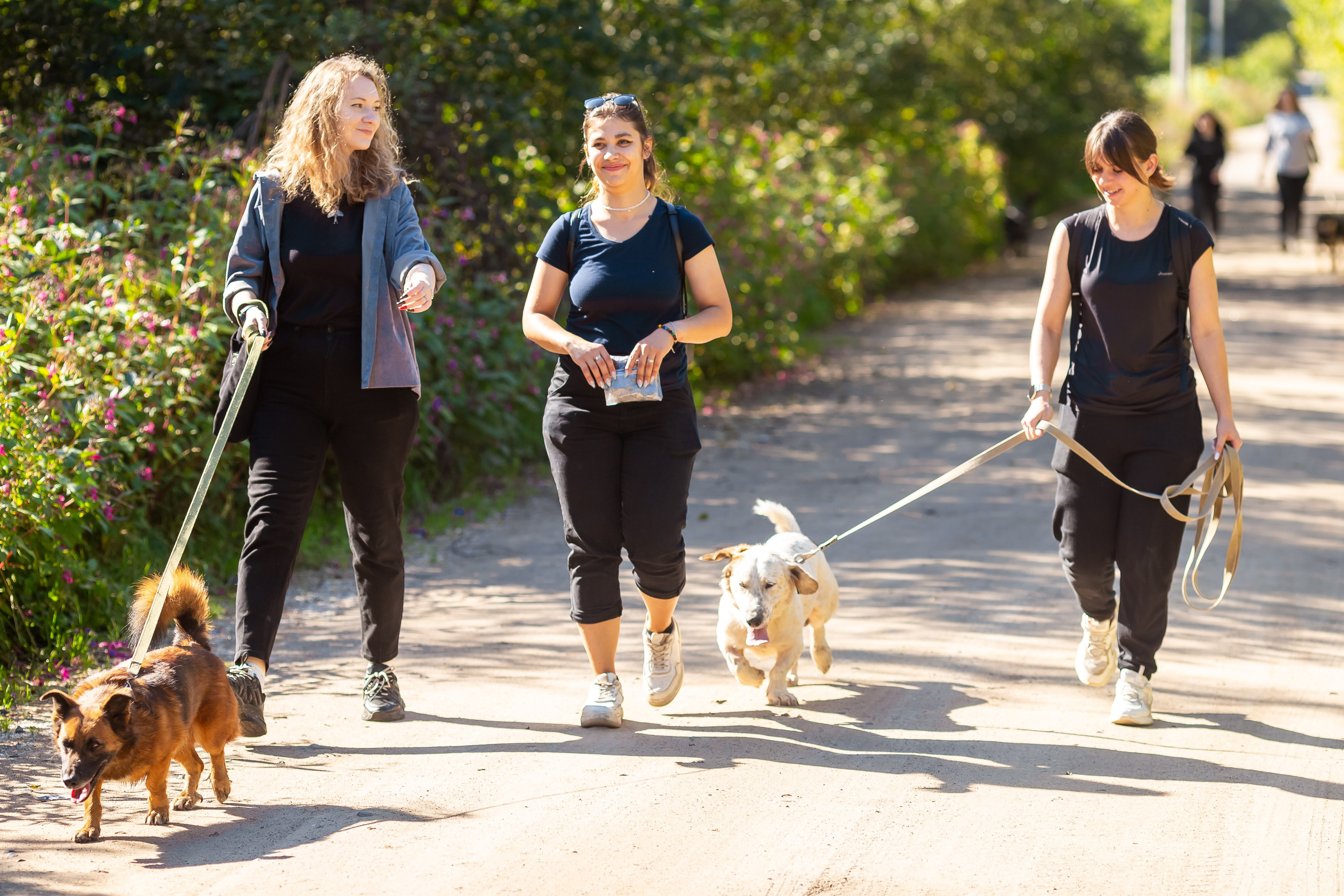 Petshop Забота. Фотограф в Санкт-Петербурге Чумаков Семен