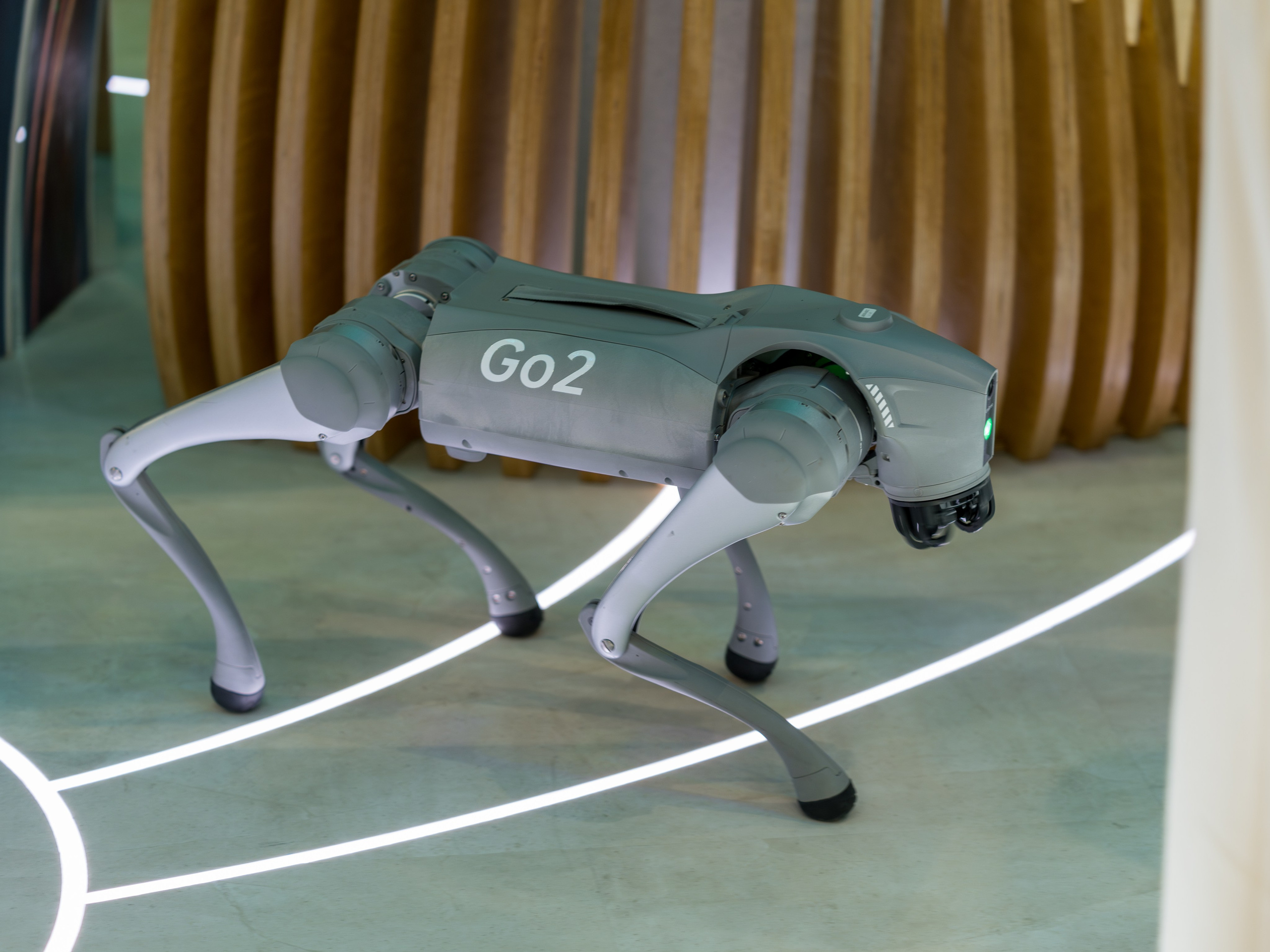 Фотоотчет для партнерской интеграции Сбербанк на ВМФ в Сириус 2024. Репортажный фотограф в Красной Поляне и Сочи Павлюченко Екатерина