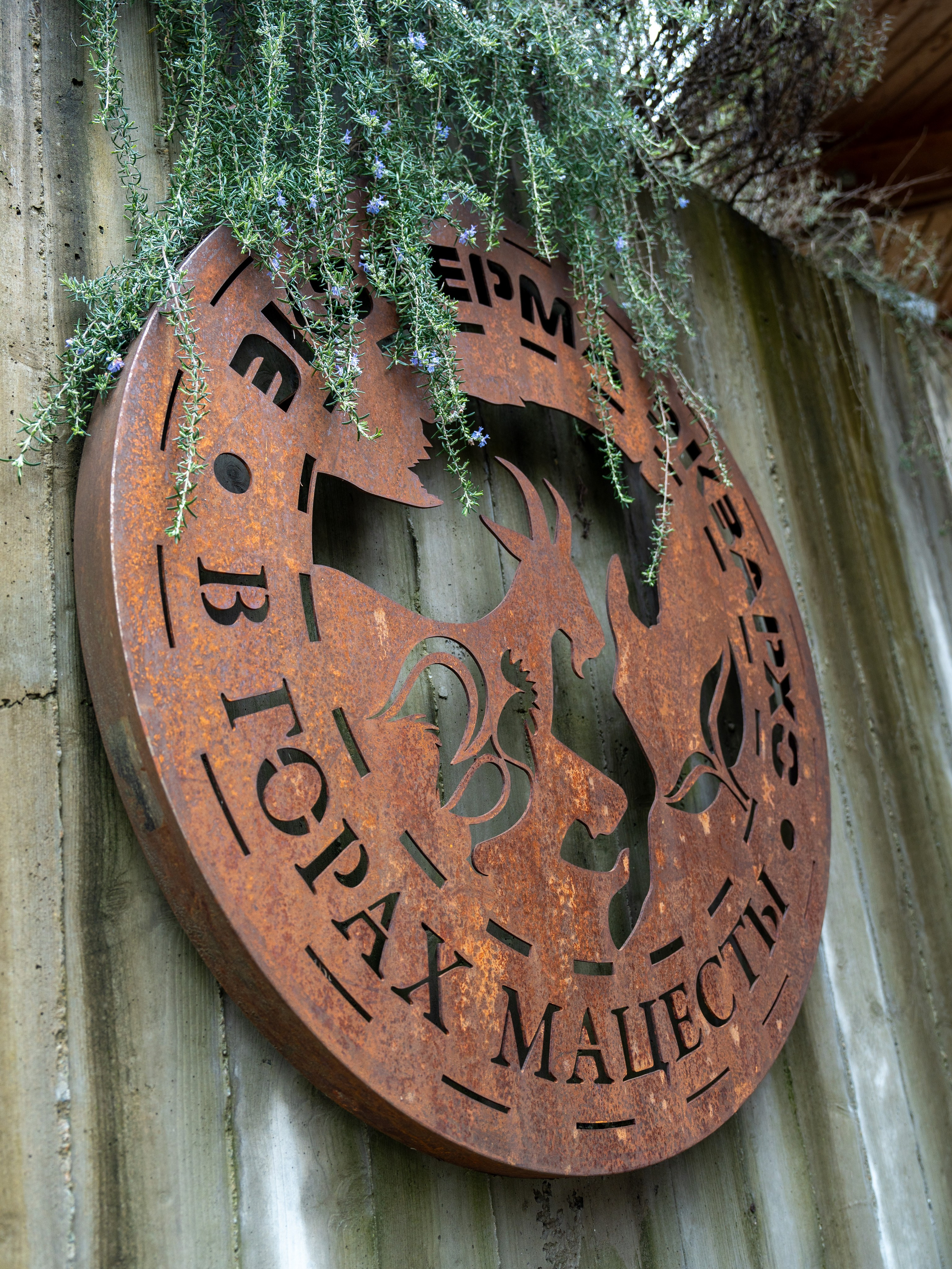 MICE мероприятие на ферме Экзархо. Репортажный фотограф в Красной Поляне и Сочи Павлюченко Екатерина