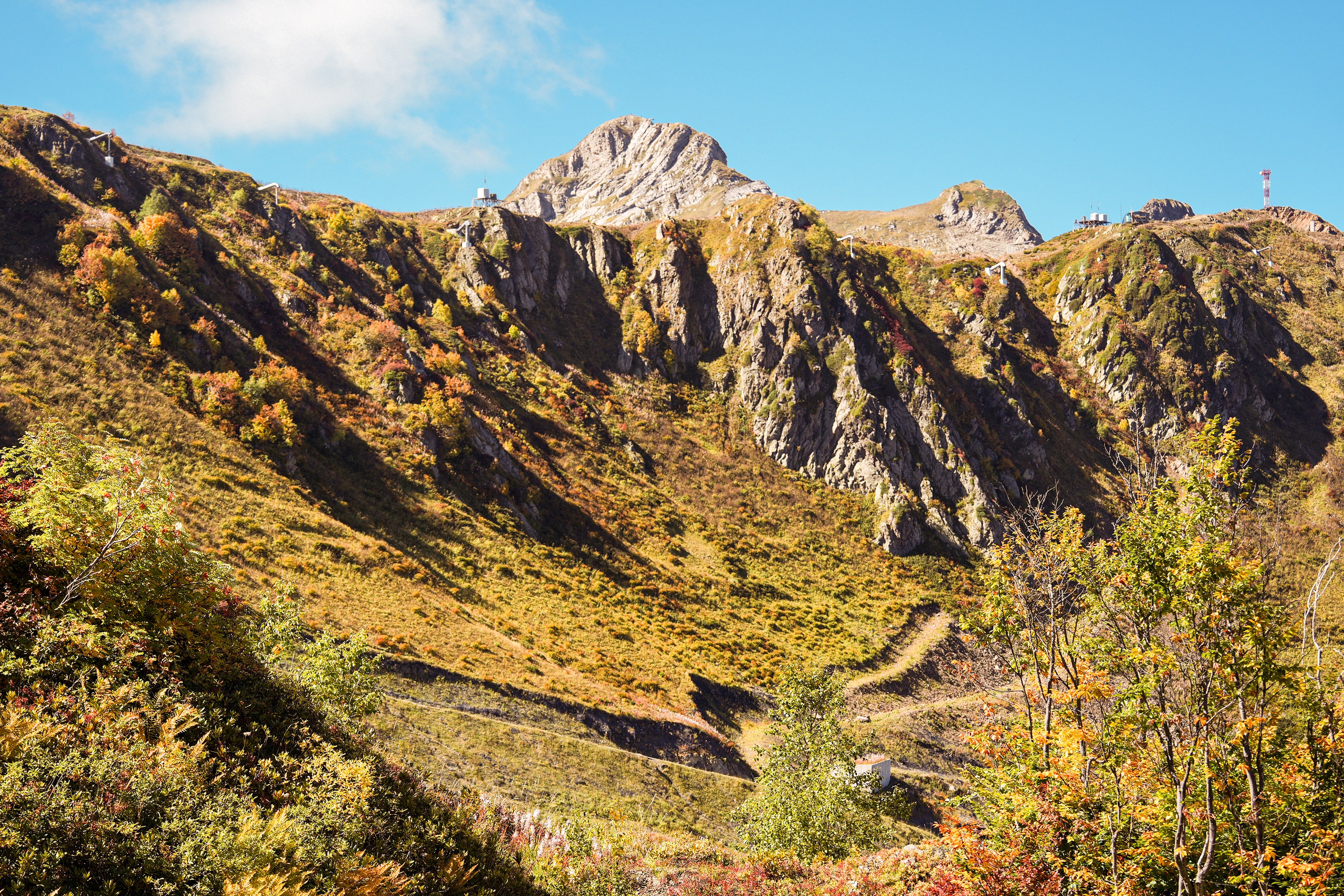 Ыаывы. Репортажный фотограф в Красной Поляне и Сочи Павлюченко Екатерина