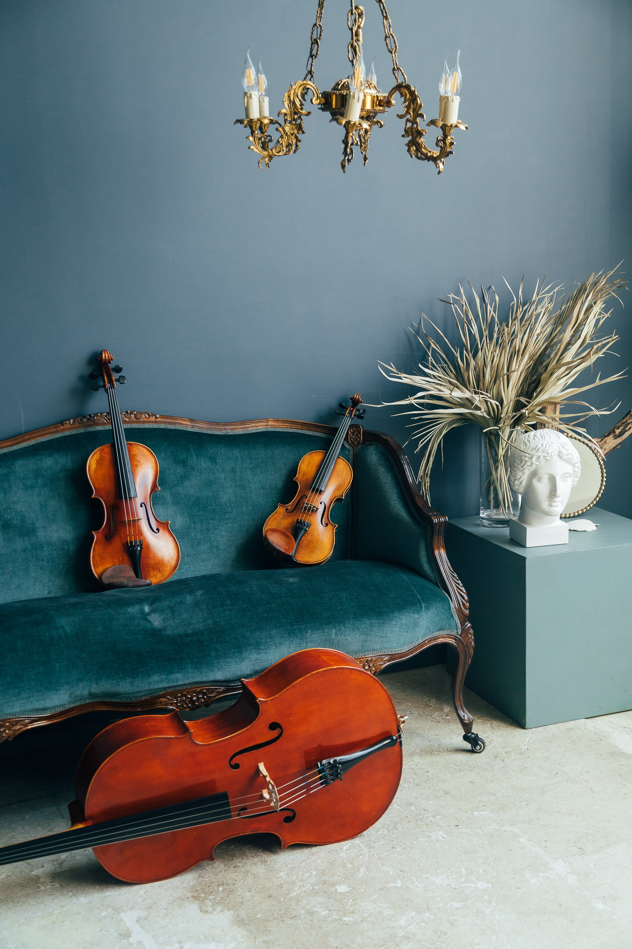 🎻. Фотограф Вика Про