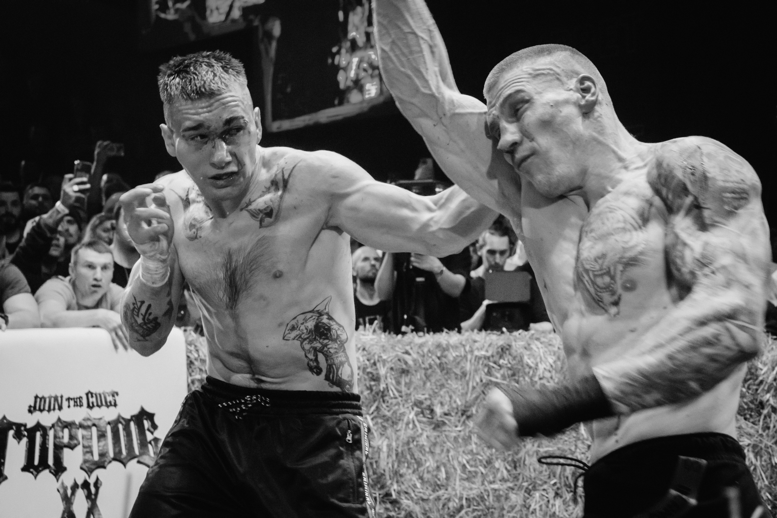 Кулачные бои TopDog. Анастасия Тен