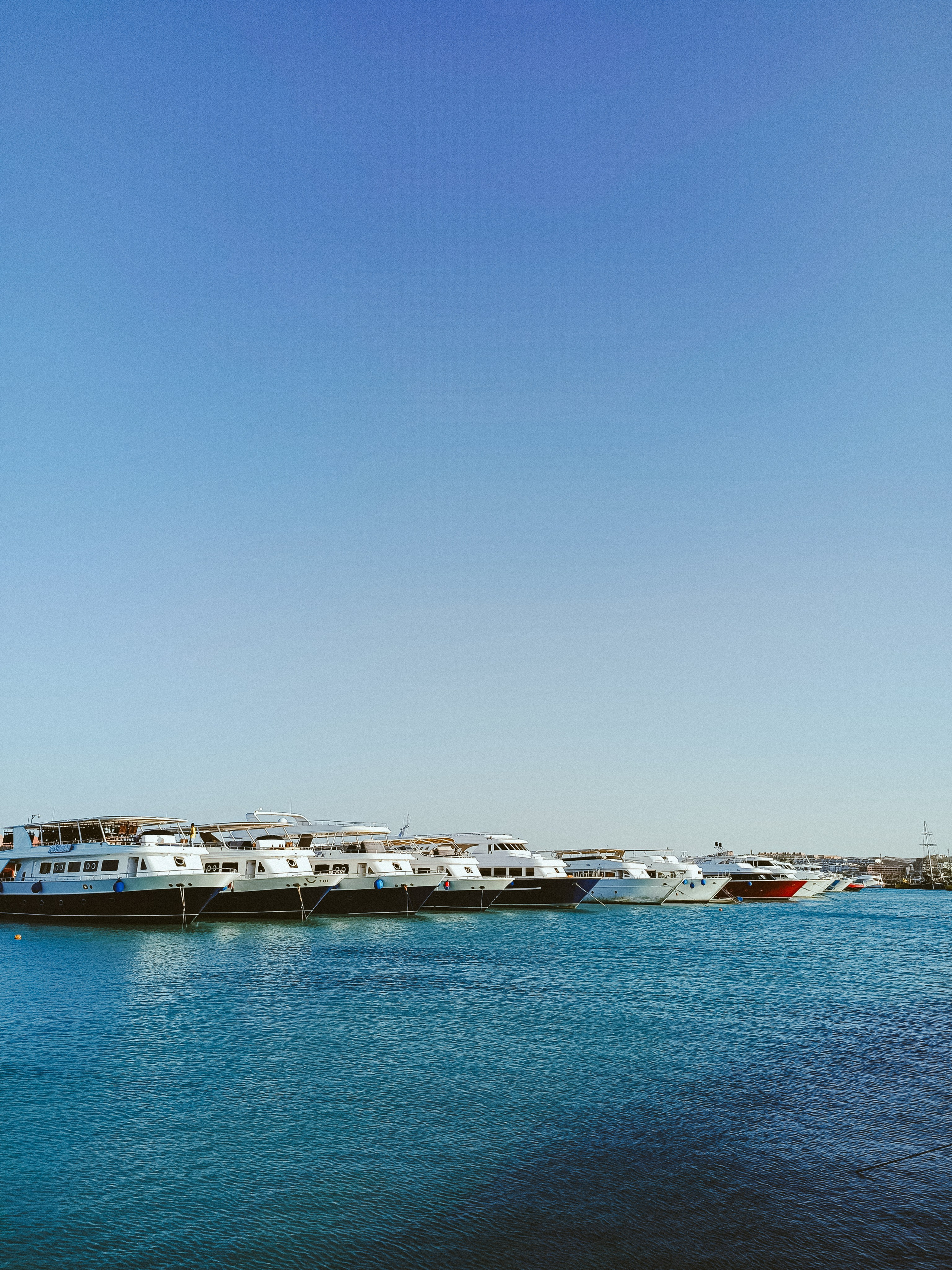 Мобильная. Jorgis — фотограф в Хургаде / обучение фотографии