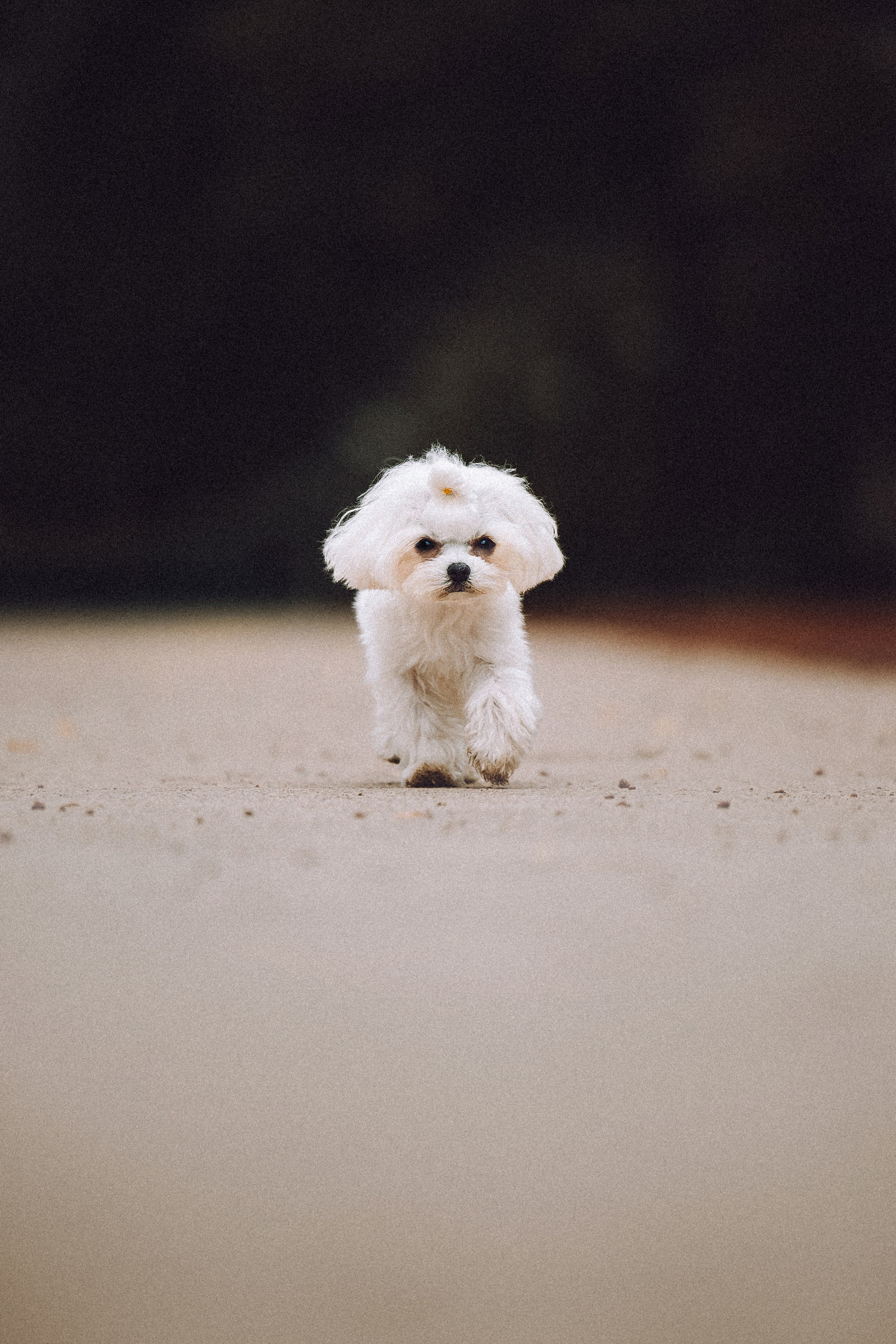 Настя и Гоша