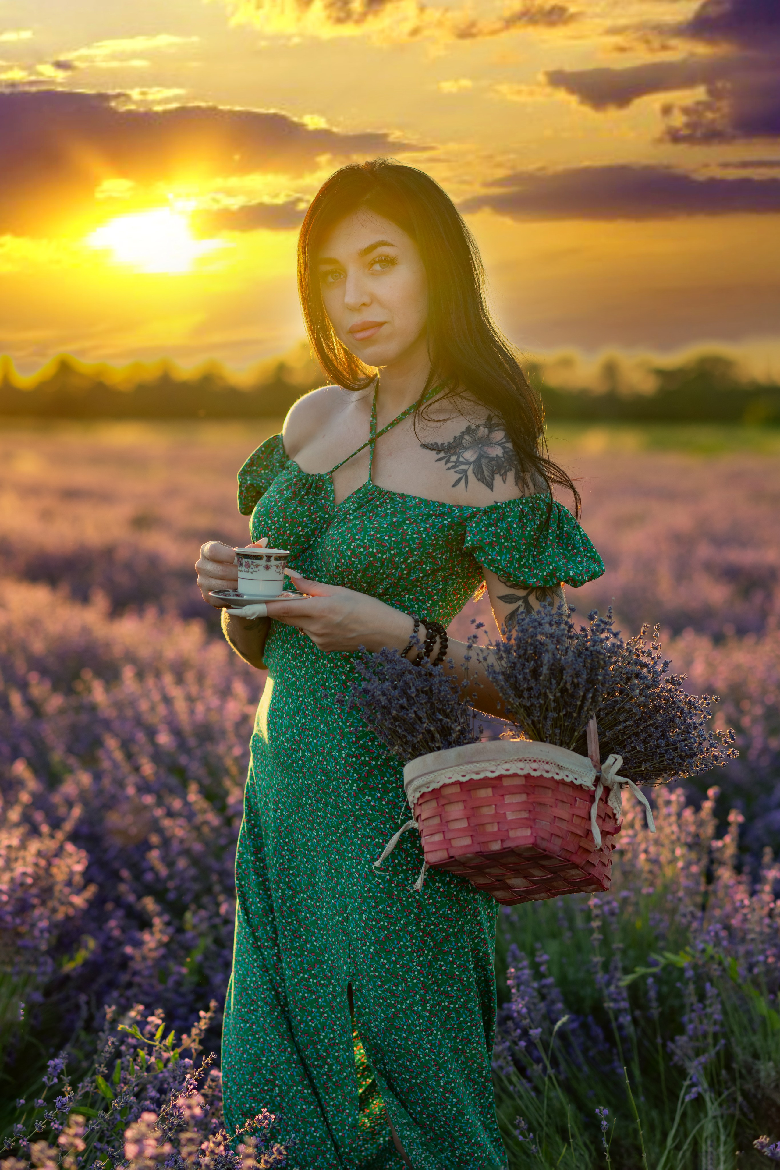 Лаванда. Главная