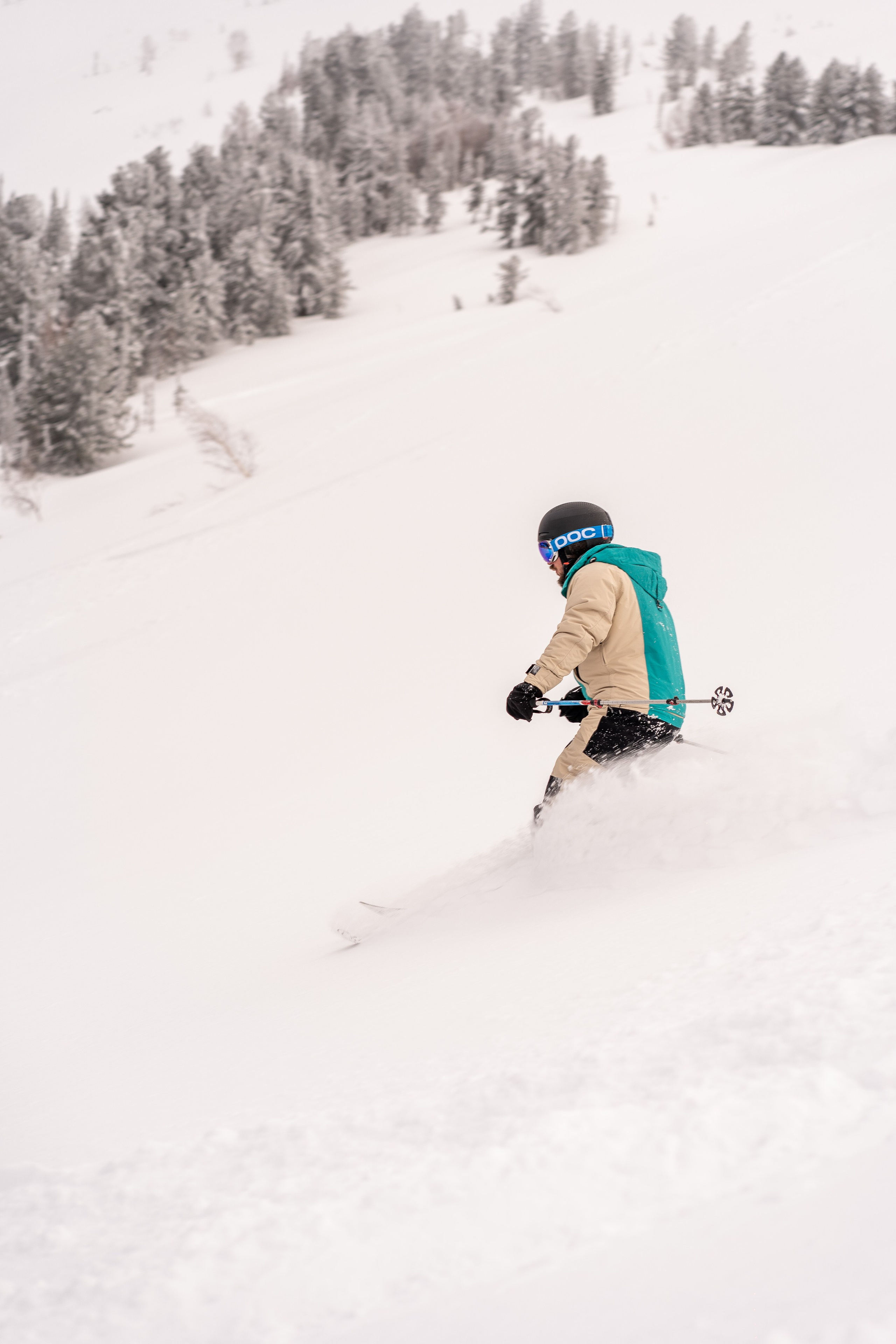 Фрирайд. Анастасия Паршукова — фотограф Шерегеш Новосибирск