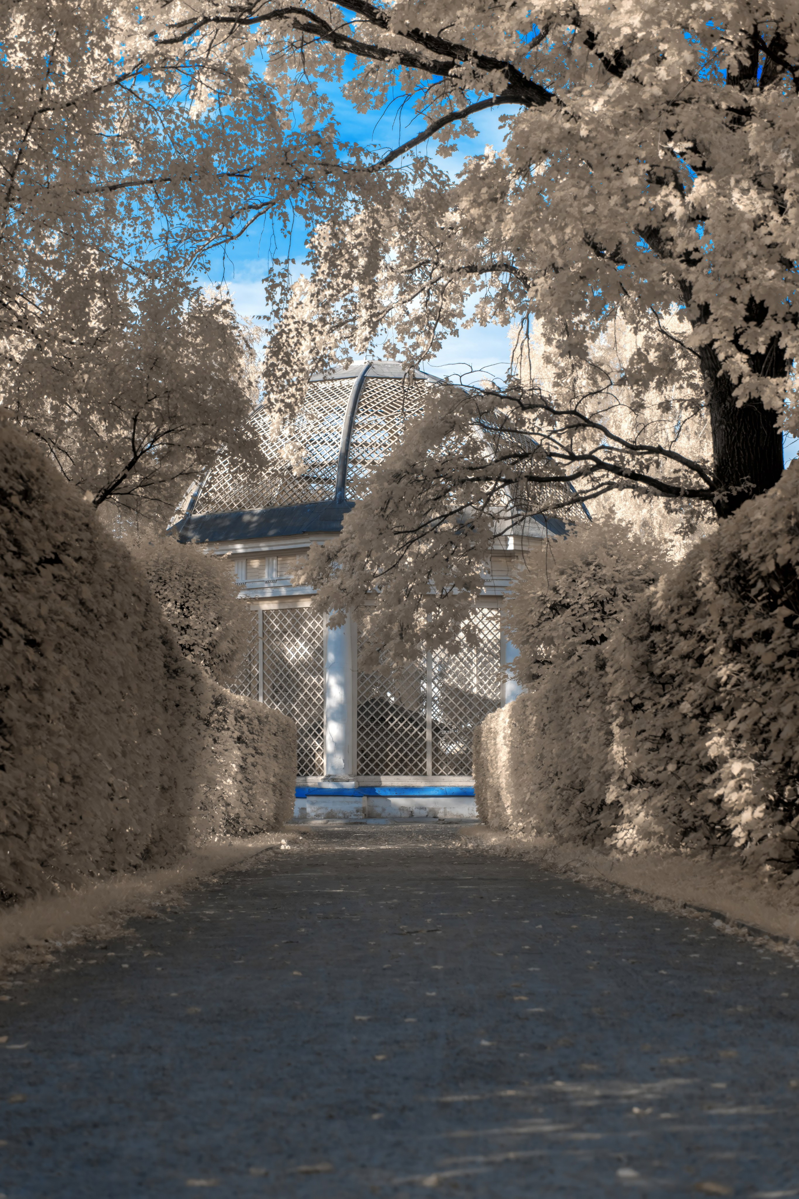 Color — Цветная