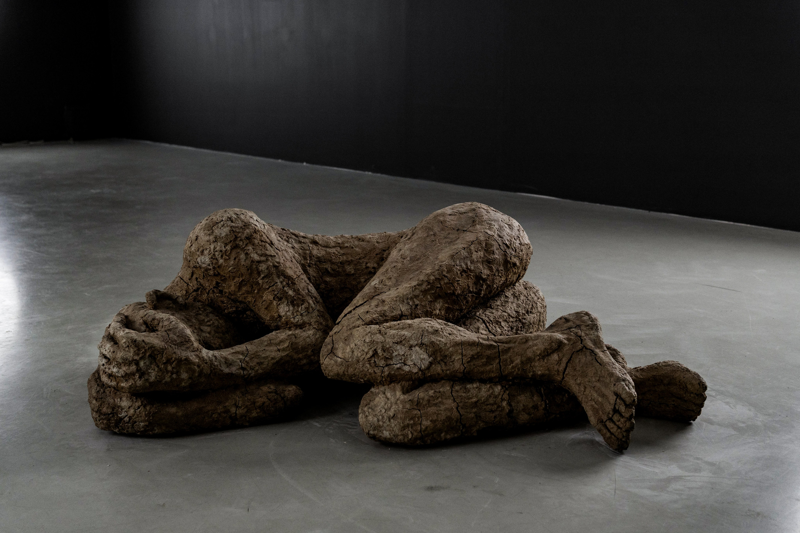 Выставки. Коммерческий фотограф в Санкт-Петербурге Ксения Максимова