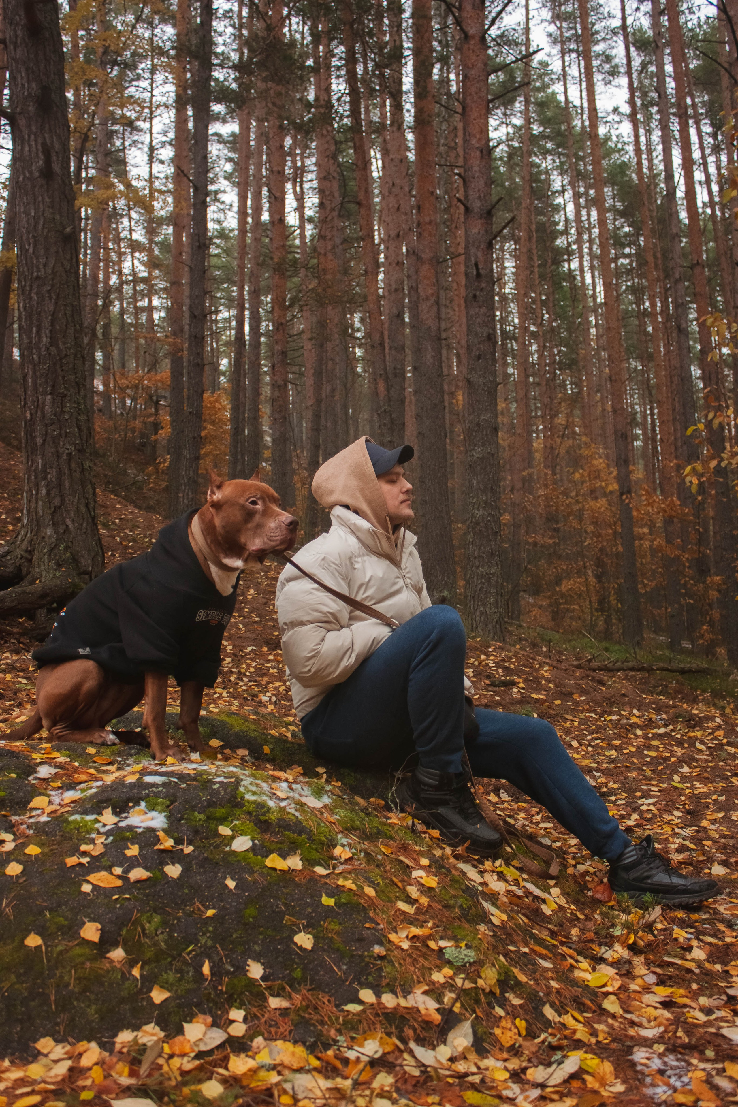 Айрон и Егор. Фотограф-анималист в Санкт-Петербурге Алина Яхонт