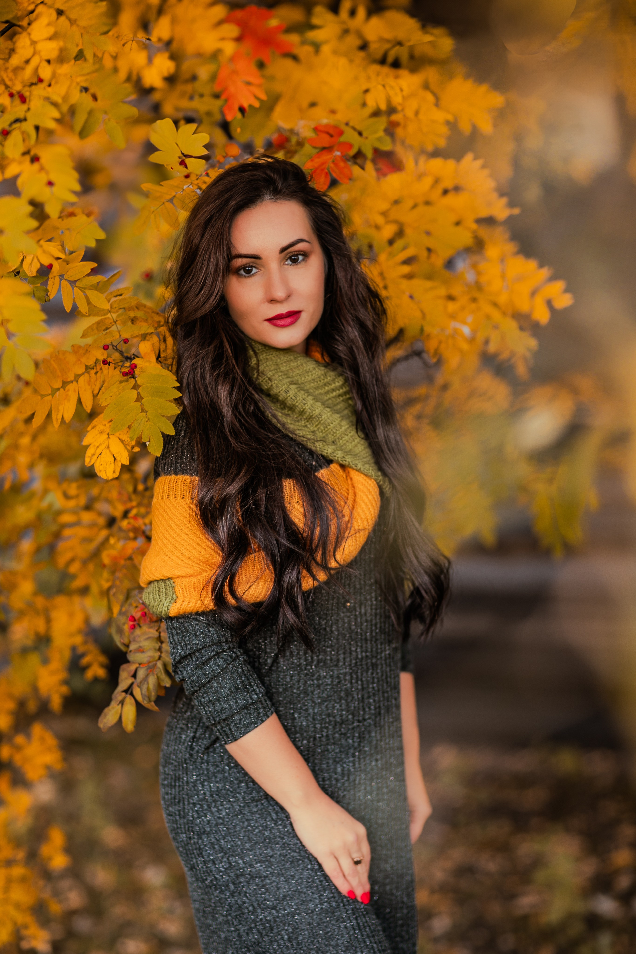 Багрец и золото. Фотограф Елена Вишневская (Ушакова) Нефтеюганск, Сургут, Тюмень