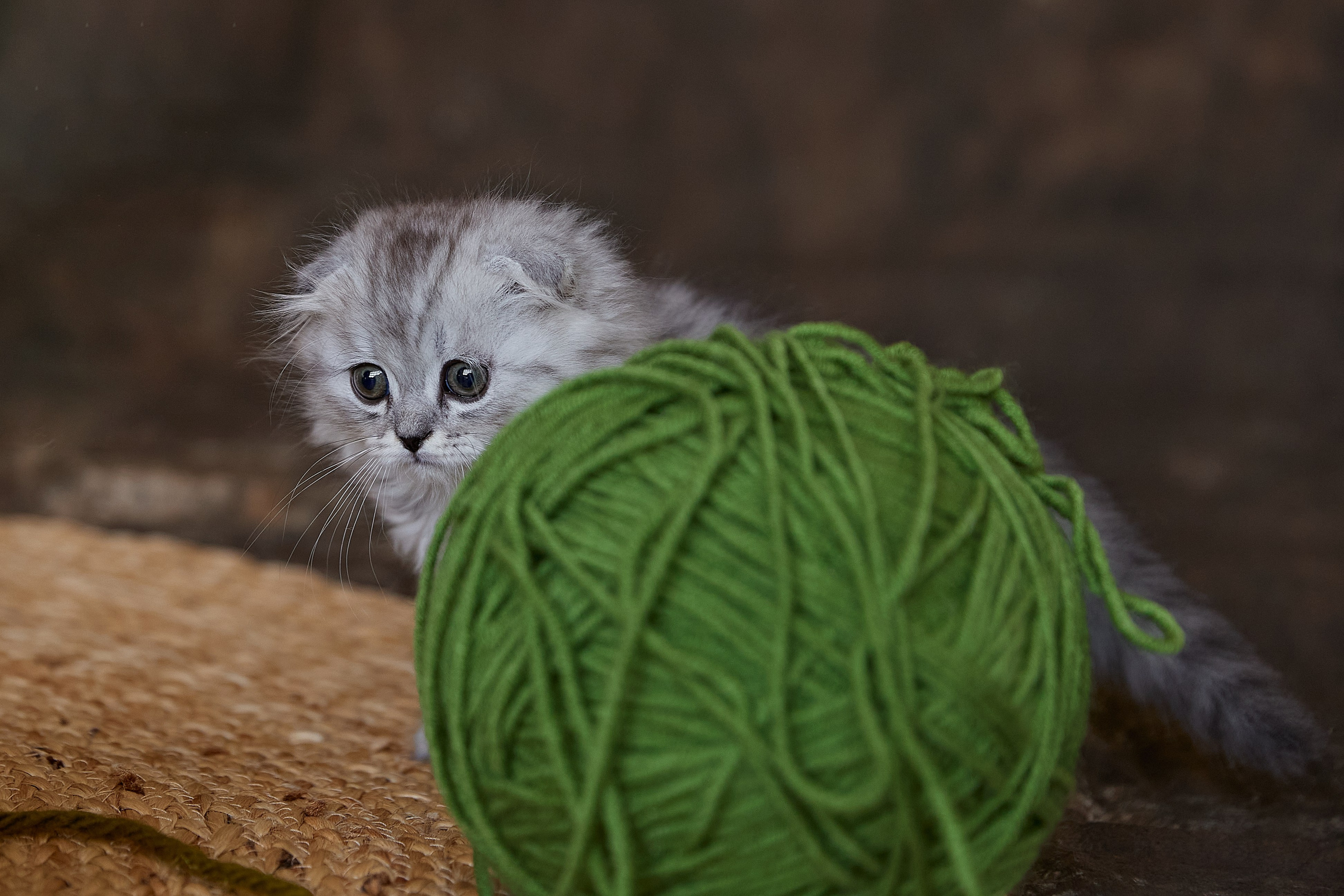 Милана. Фотограф женского портрета, беременности и материнства Харькова Елена