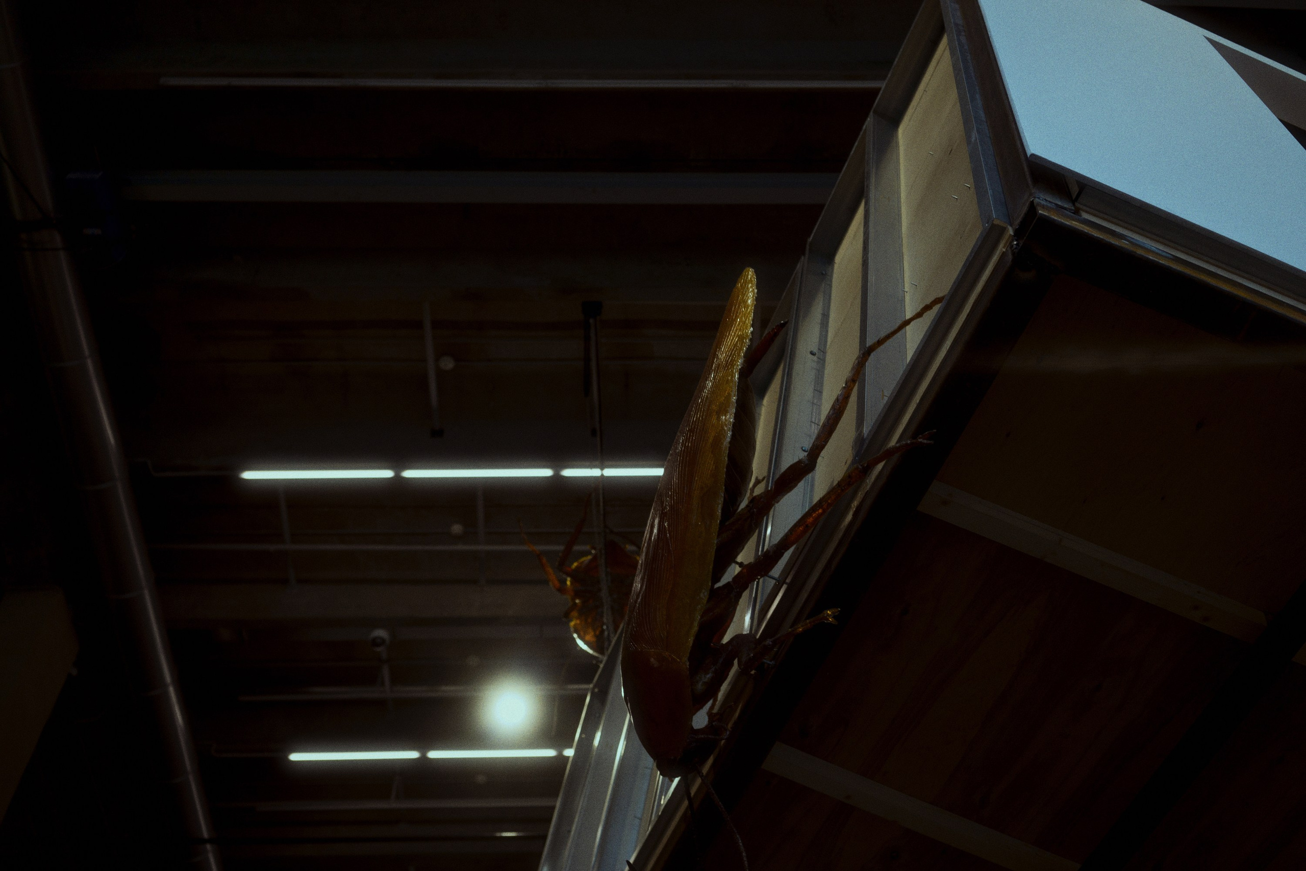 Garage MCA / “Грядущий мир: экология как новая политика. 2030–2100”. Фотограф Юрин Евгений