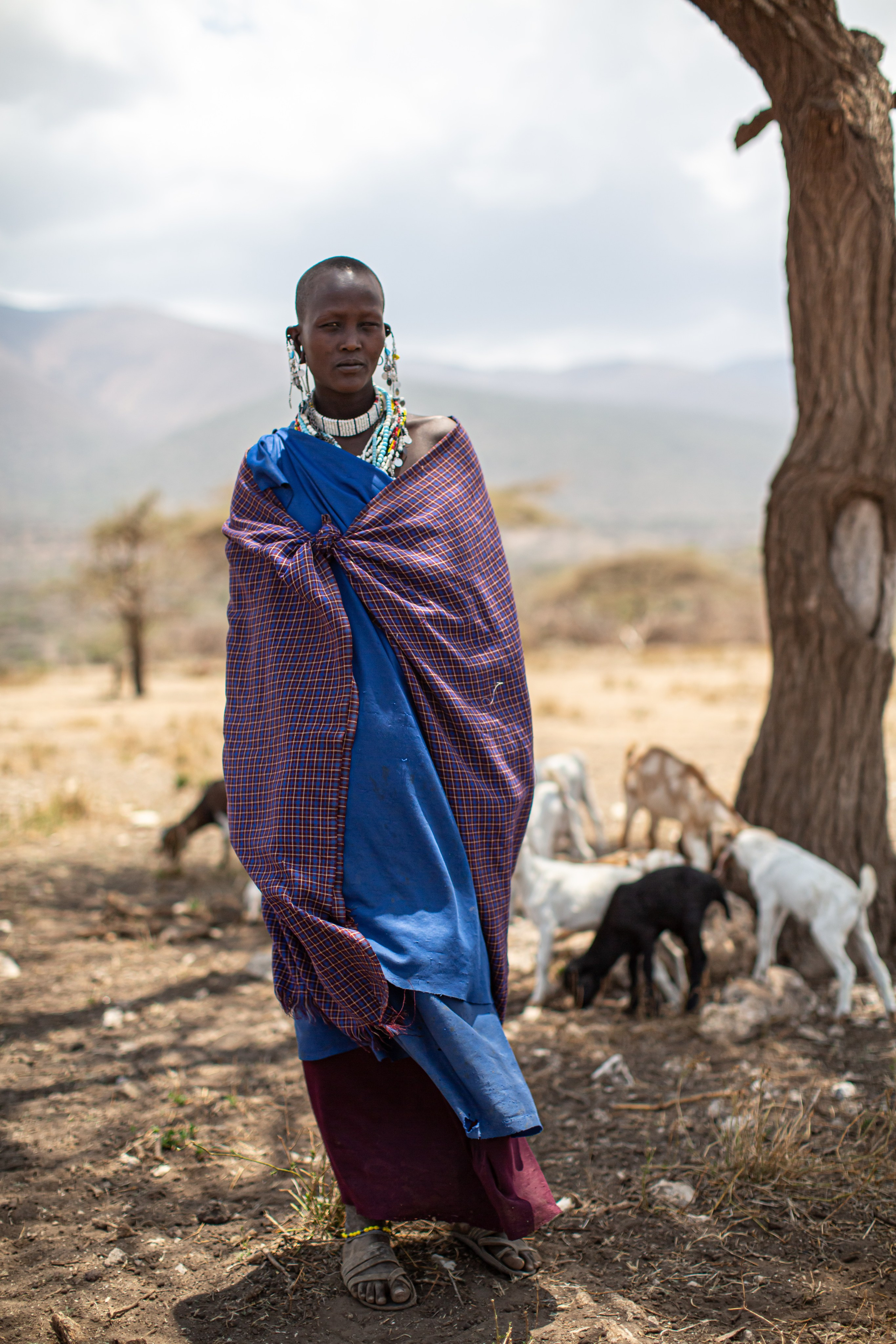 Танзания. Добродеева Алла фотограф, Москва
