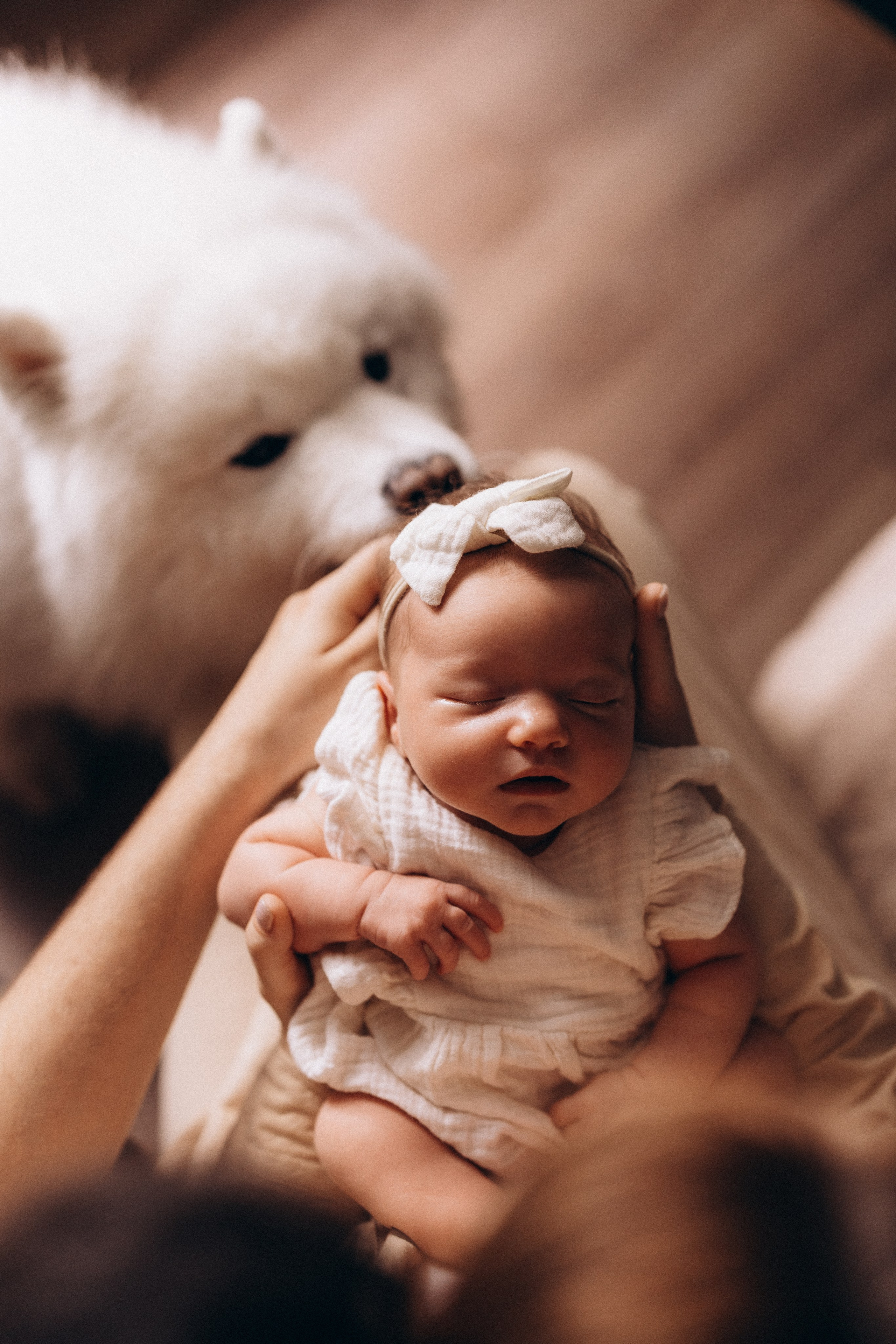 Василиса. Евгения Пелипас