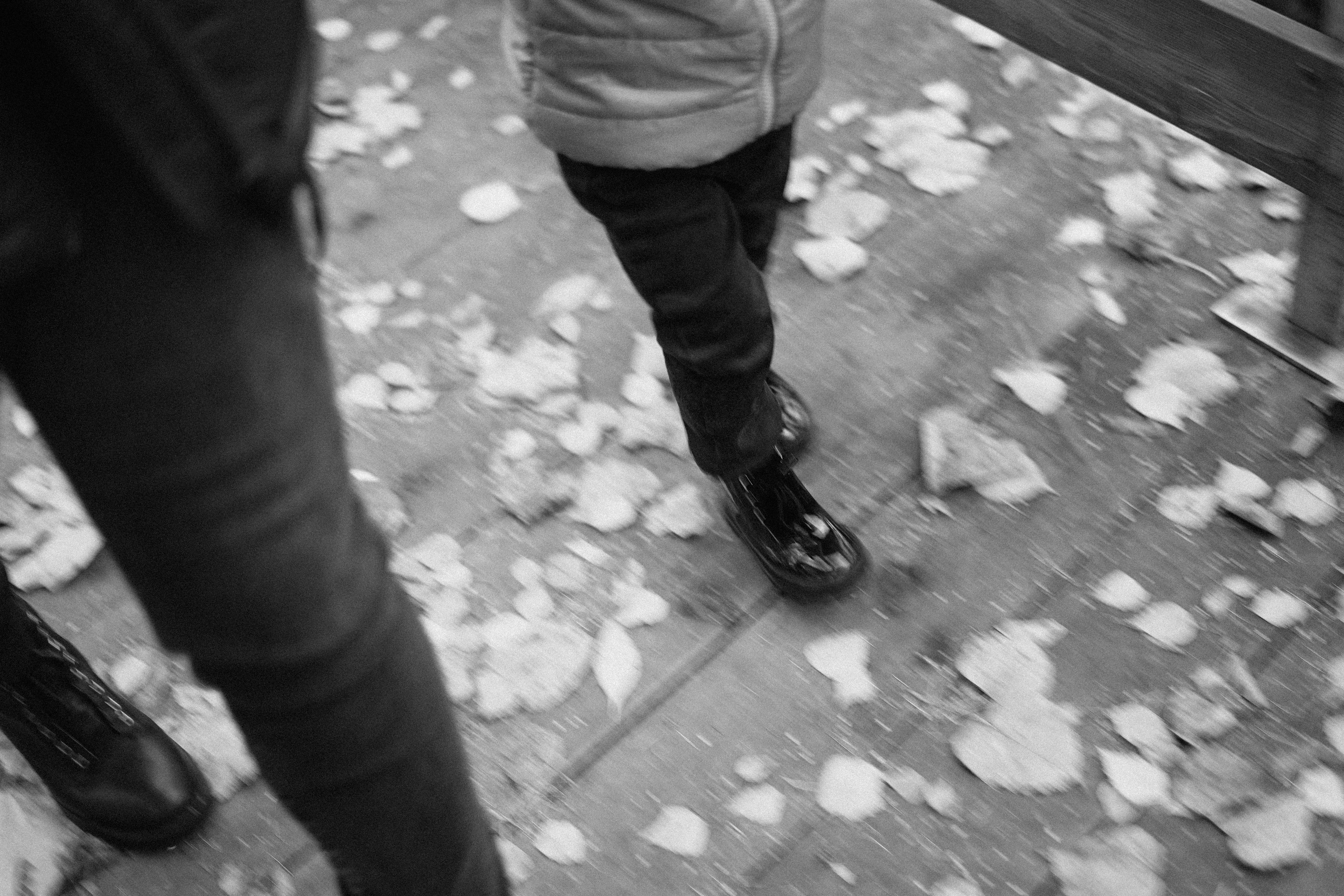 В городском парке. Семейный и свадебный фотограф в Красногорске Анастасия Тихонова