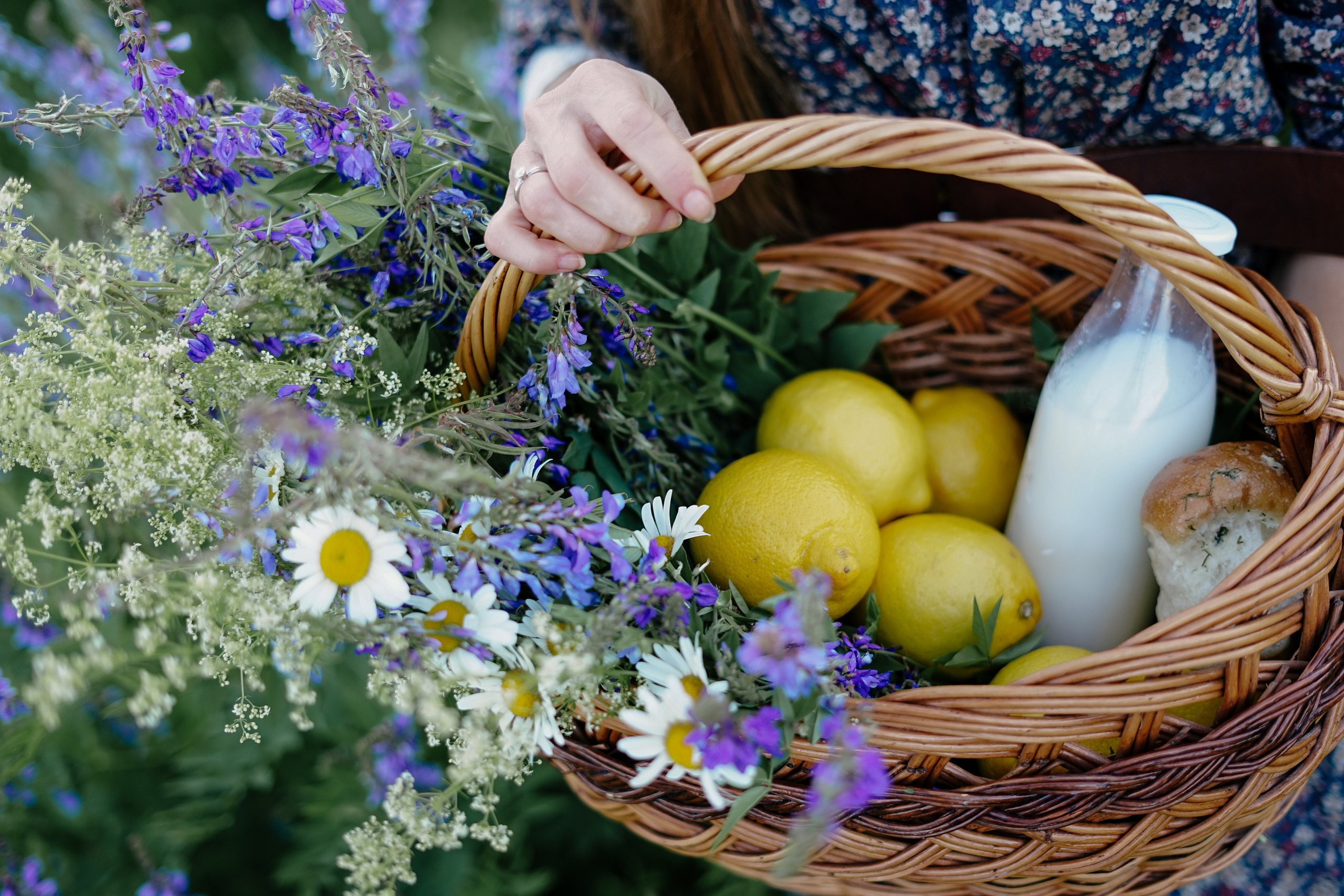Лаванда. Семейный и свадебный фотограф в Красногорске Анастасия Тихонова