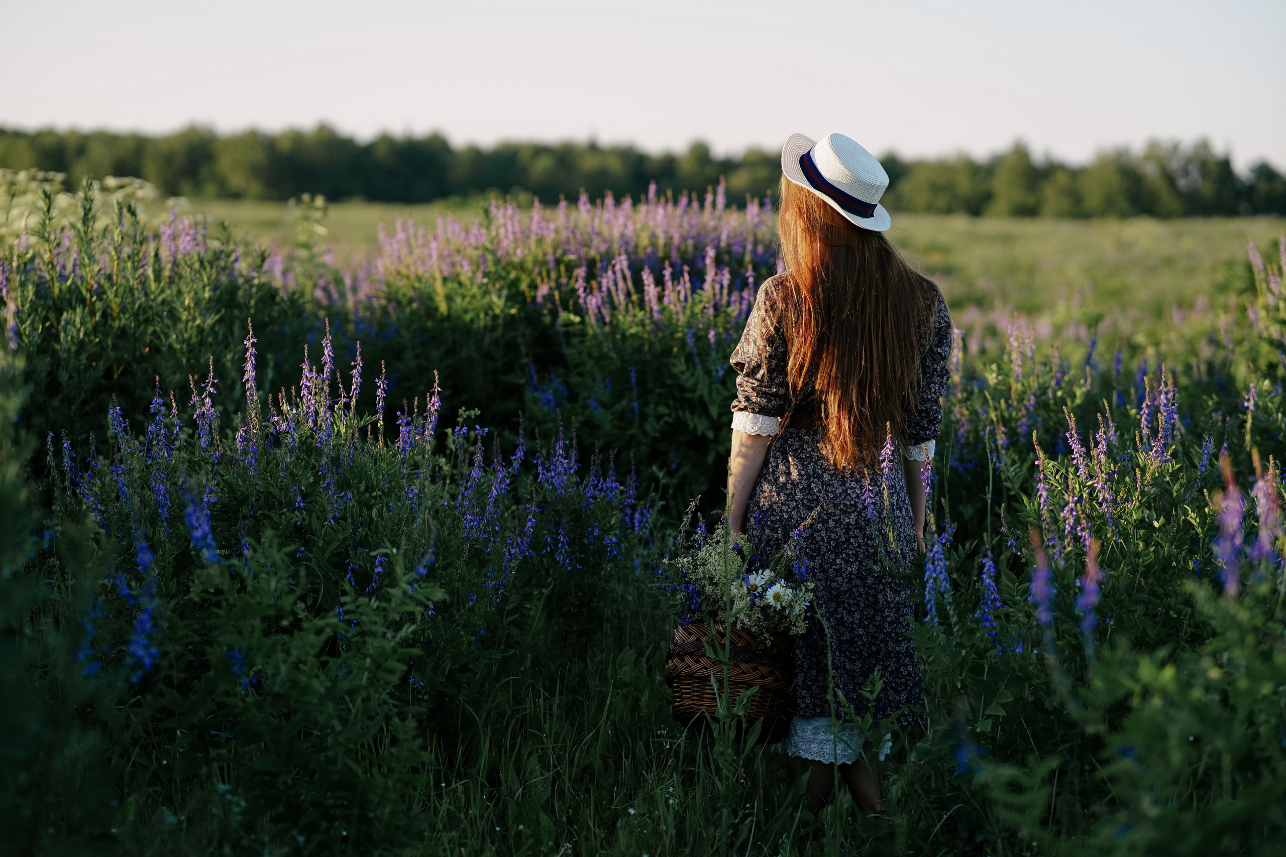 Лаванда. Семейный и свадебный фотограф в Красногорске Анастасия Тихонова