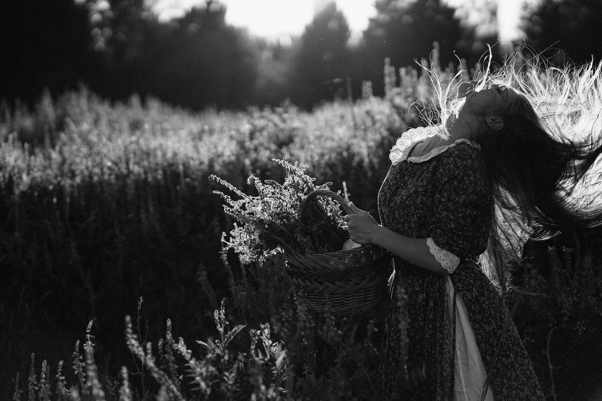 Лаванда. Семейный и свадебный фотограф в Красногорске Анастасия Тихонова