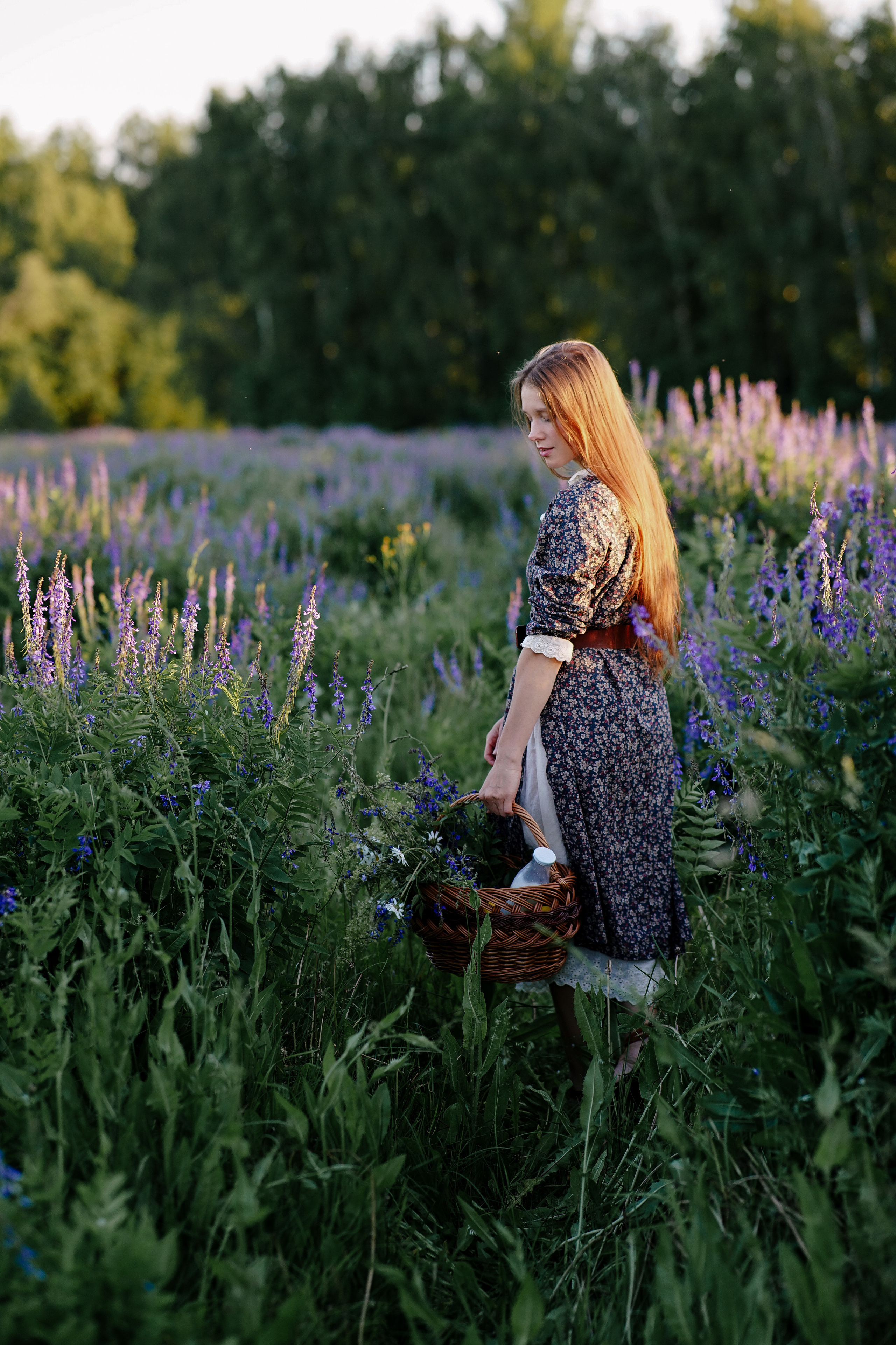 Лаванда. Семейный и свадебный фотограф в Красногорске Анастасия Тихонова