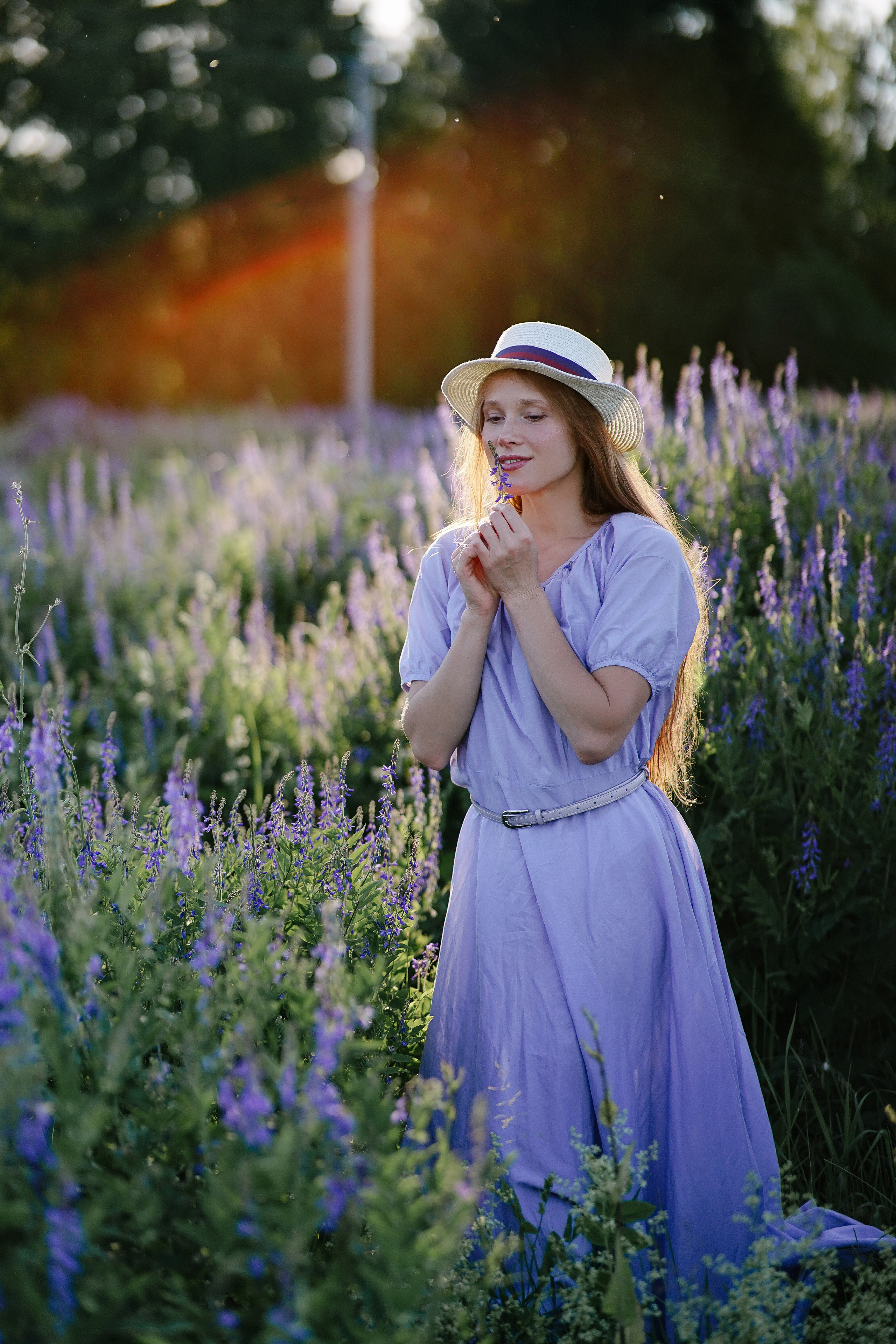 Лаванда. Семейный и свадебный фотограф в Красногорске Анастасия Тихонова