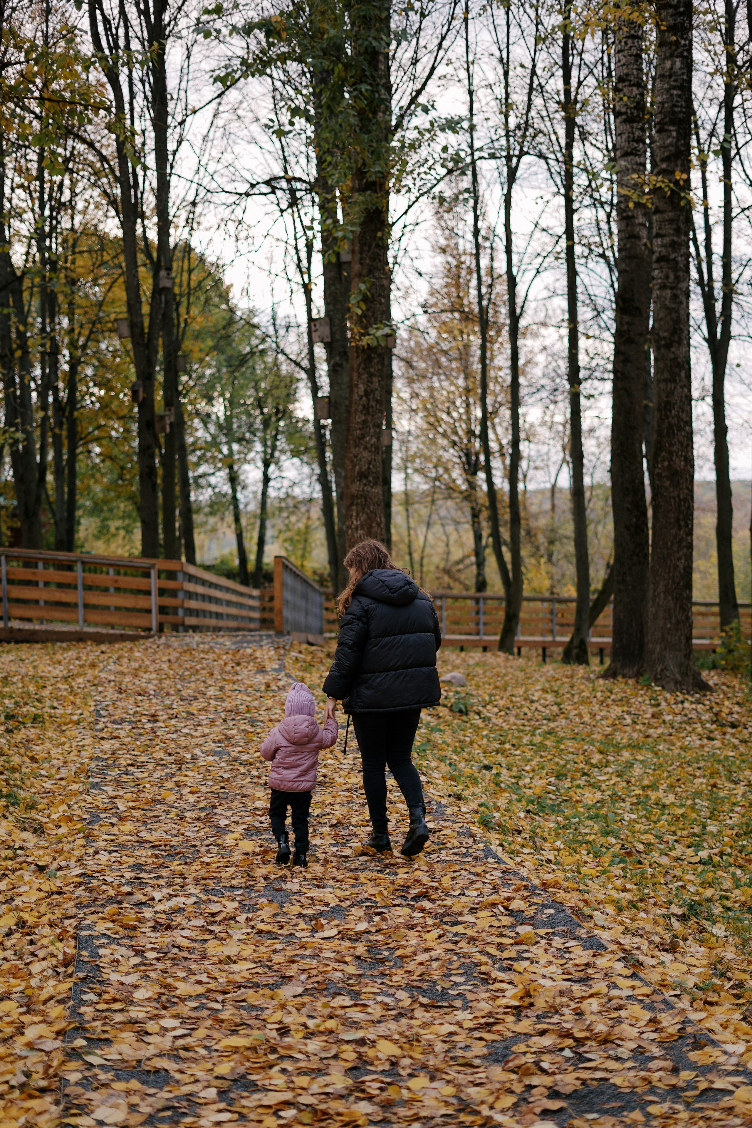 В городском парке. Семейный и свадебный фотограф в Красногорске Анастасия Тихонова