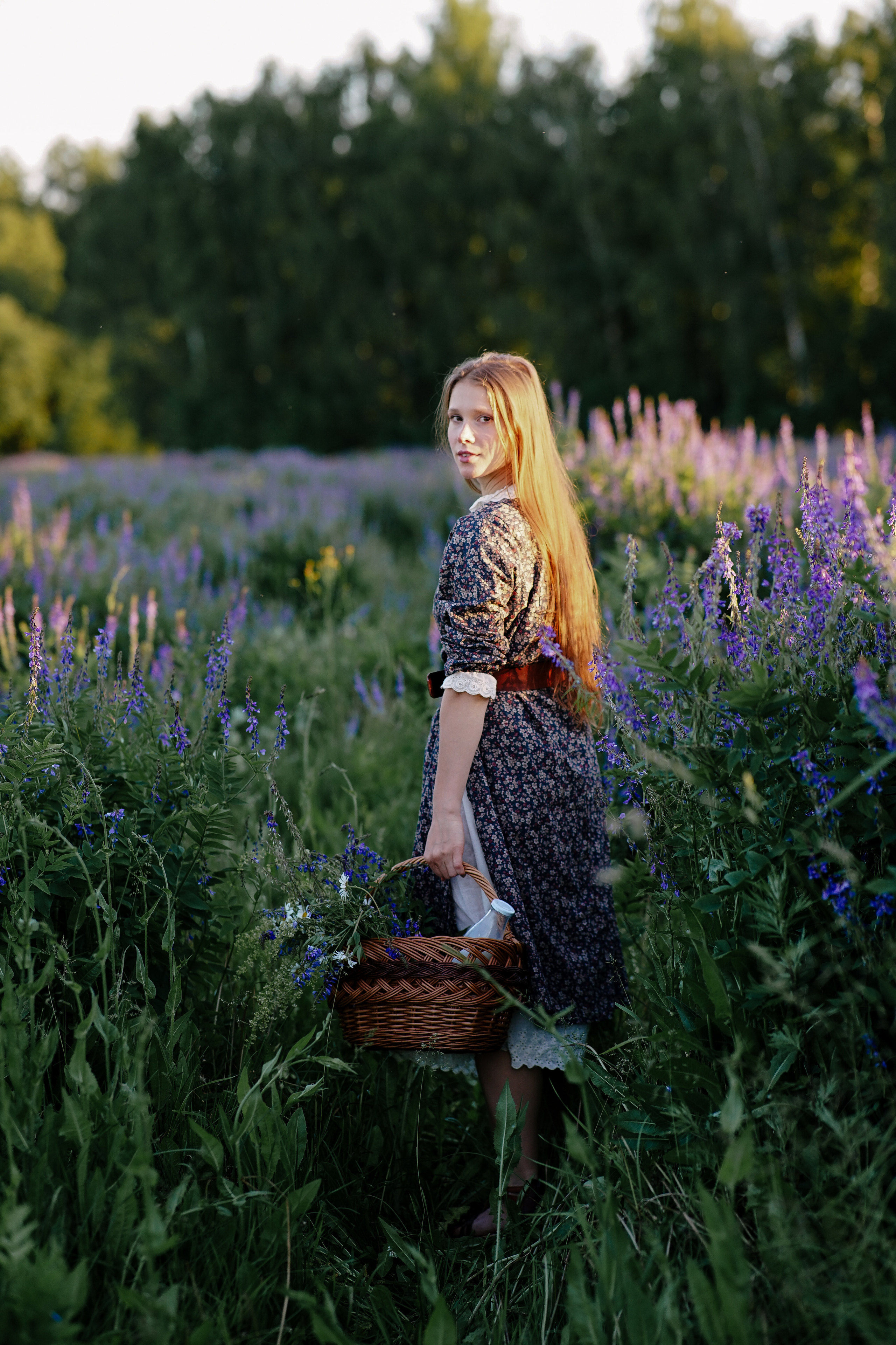 Лаванда. Семейный и свадебный фотограф в Красногорске Анастасия Тихонова