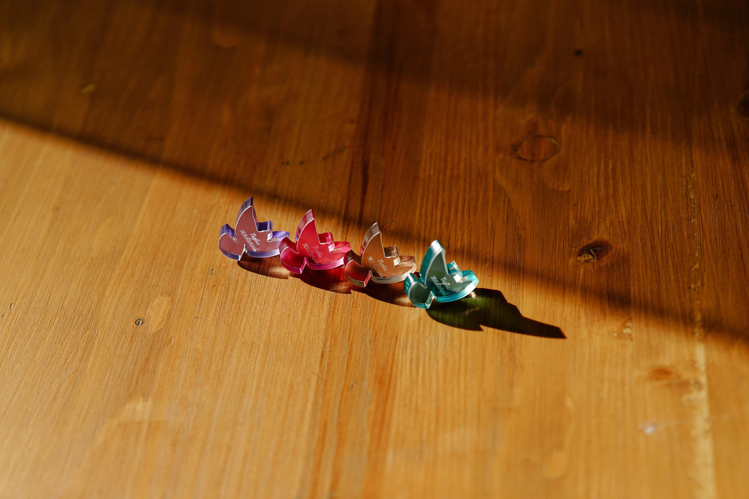 Игра «Путь желаний». Семейный и свадебный фотограф в Красногорске Анастасия Тихонова