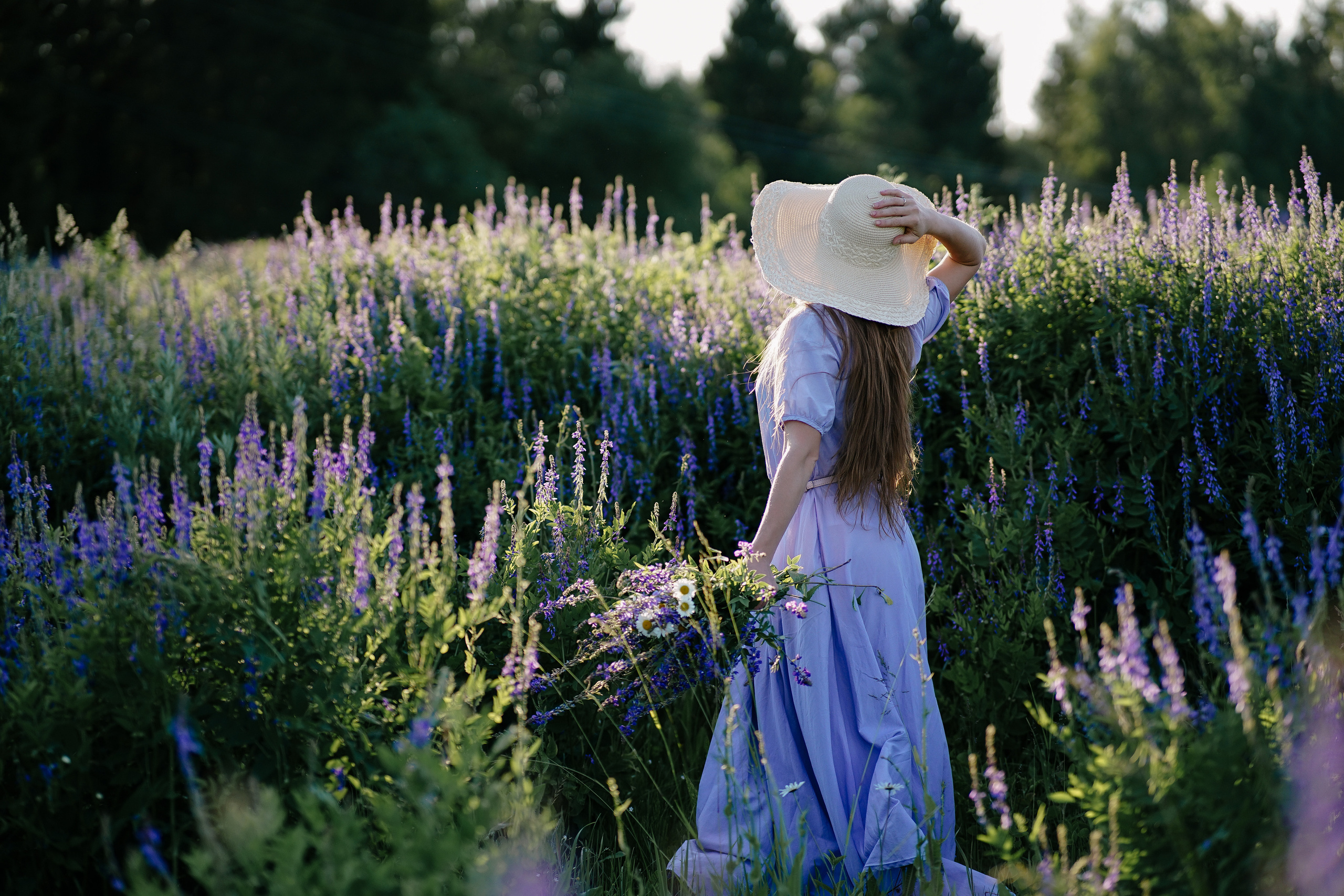 Лаванда. Семейный и свадебный фотограф в Красногорске Анастасия Тихонова