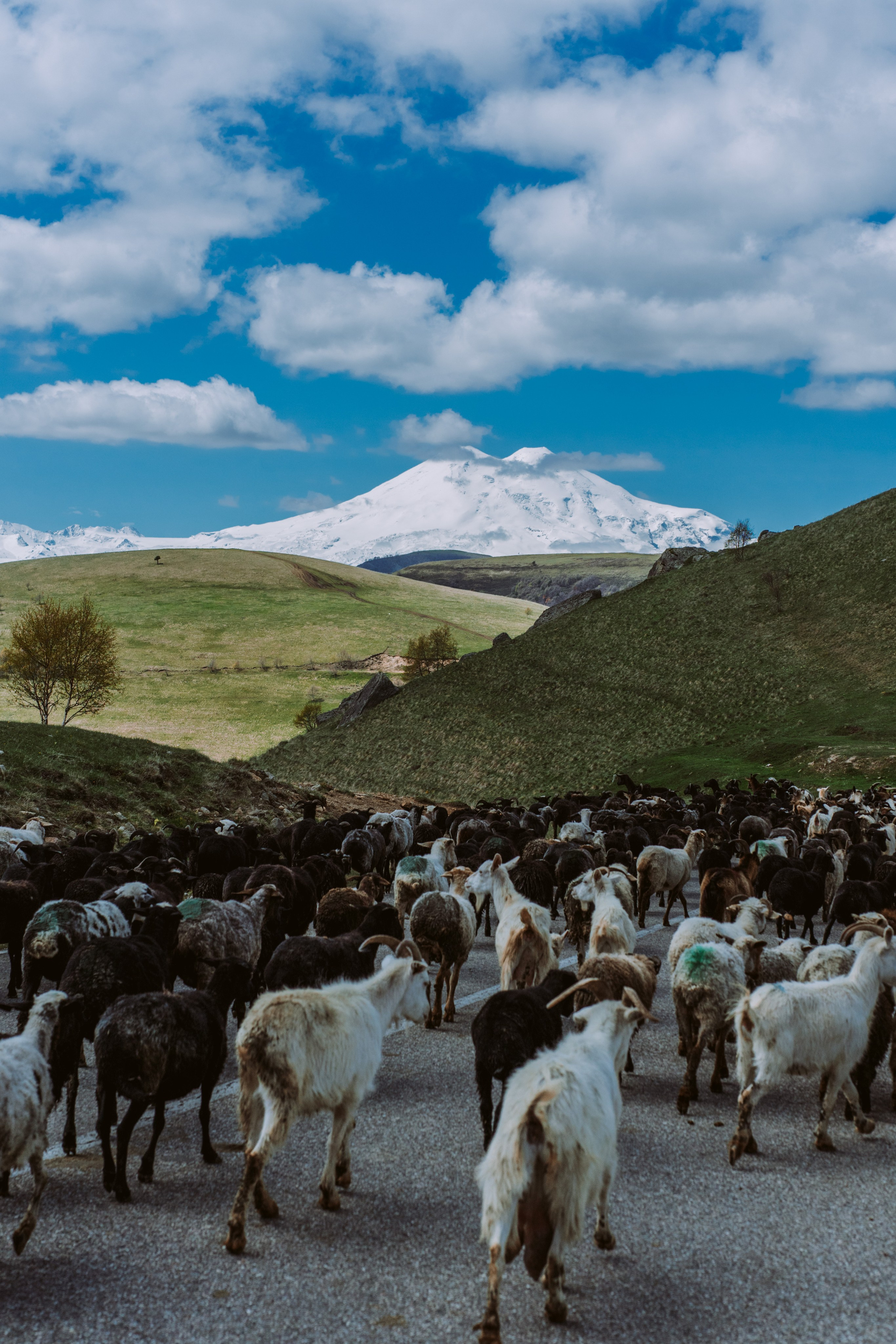 Кавказ. Фотограф в Санкт-Петербурге