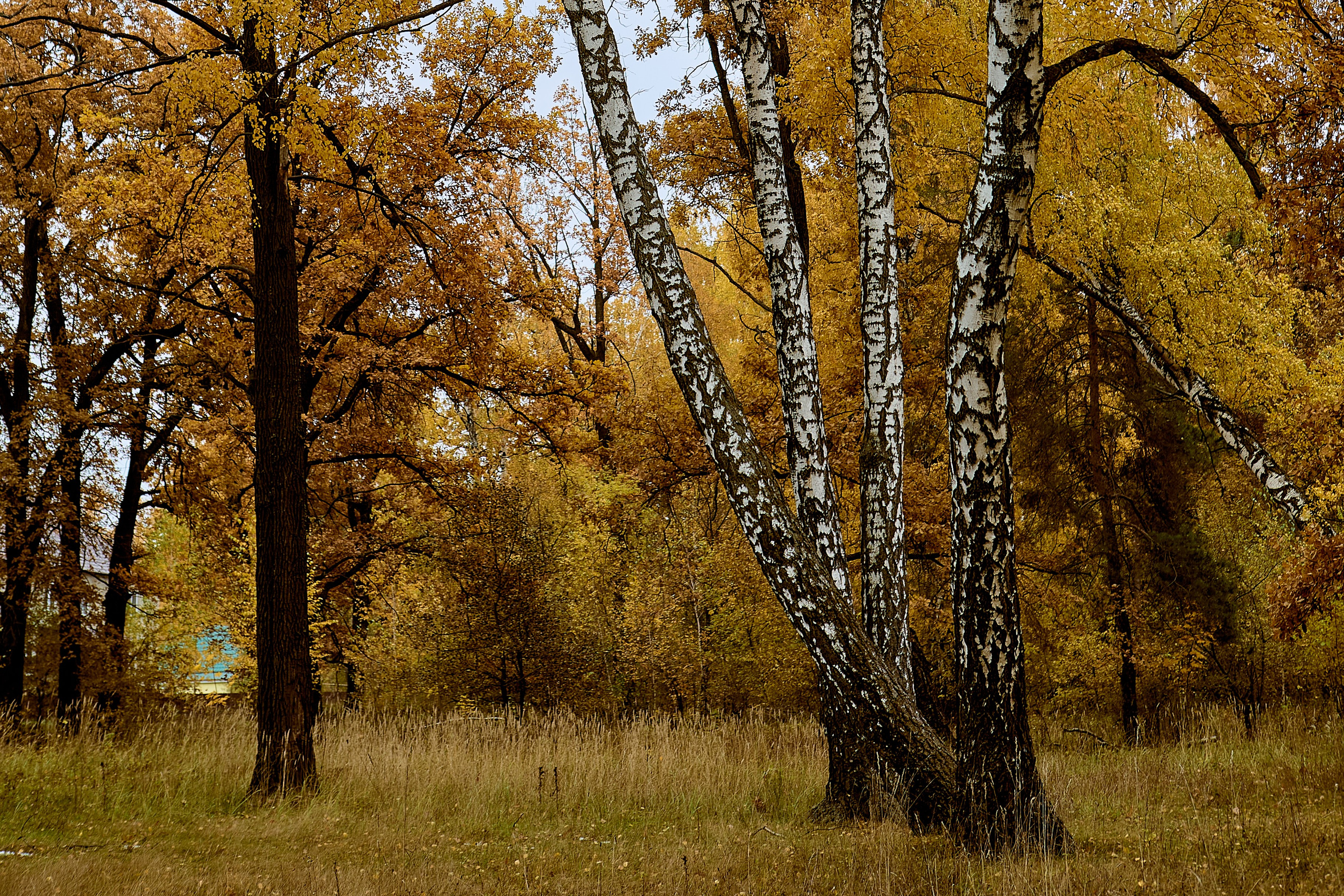 Фотографии природы