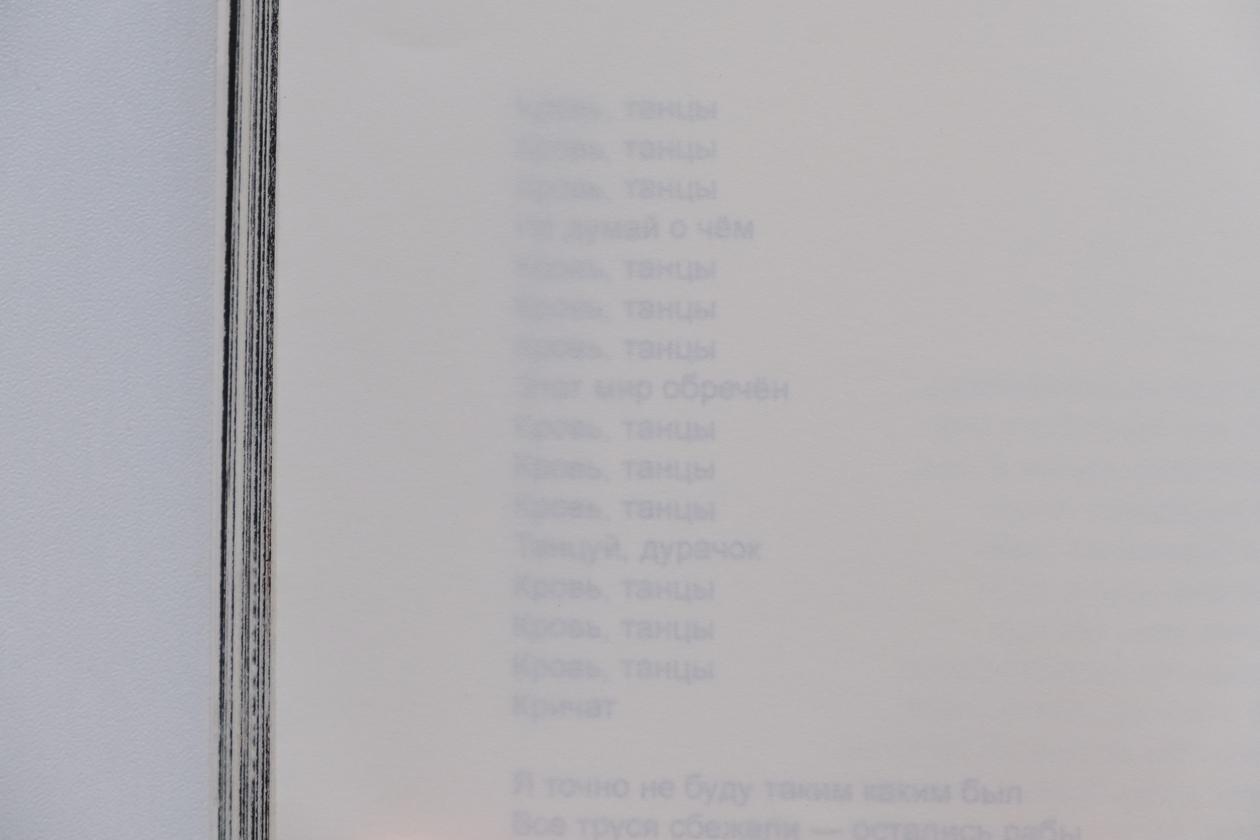 Липкий пол [книга]. Аня белка — художница и фотограф