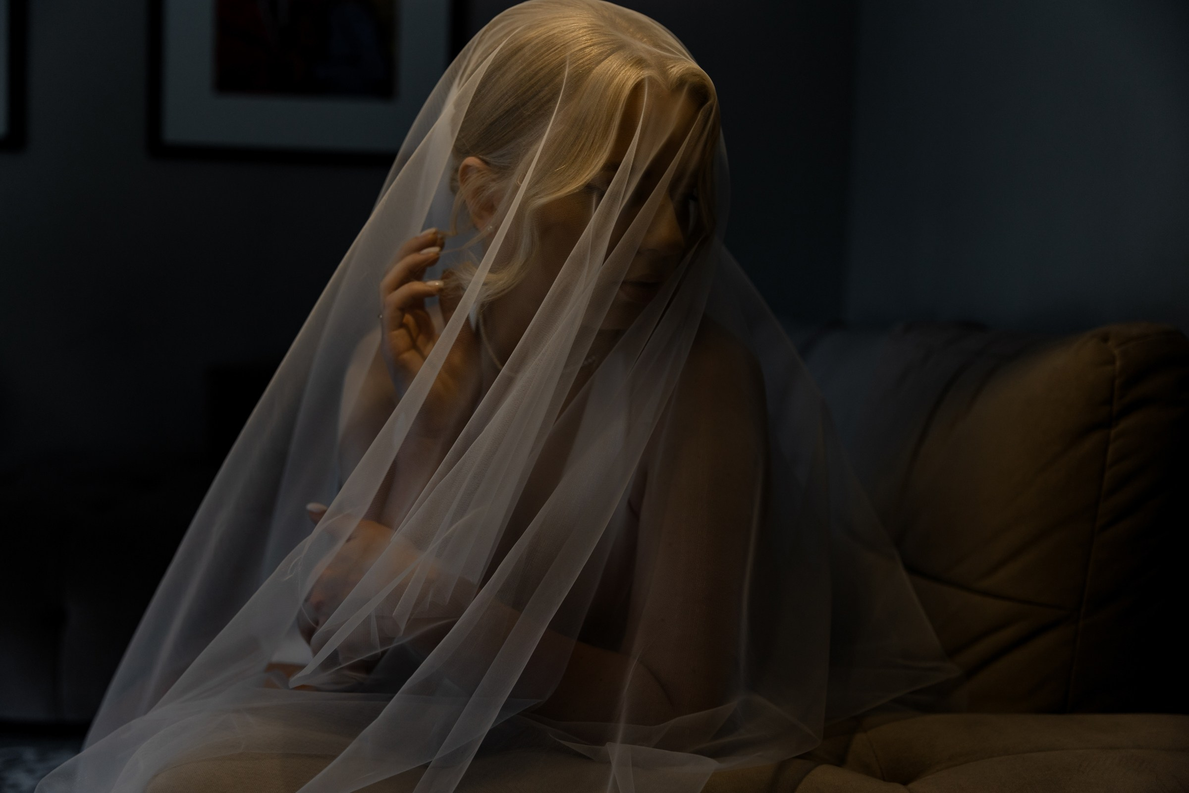 Свадьба пес и котики. Dima Lemeshevsky