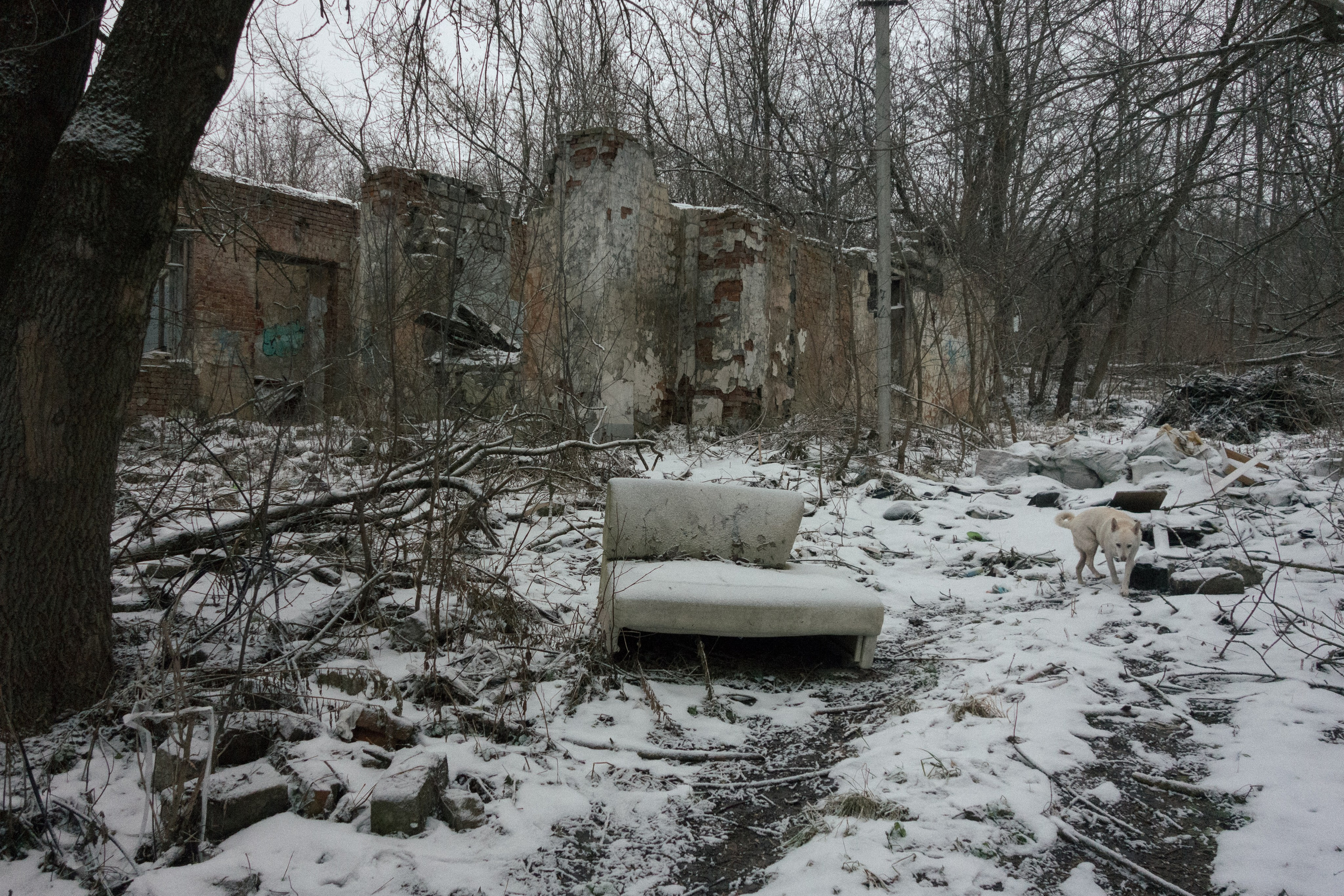 Косая гора. Pavel Basin