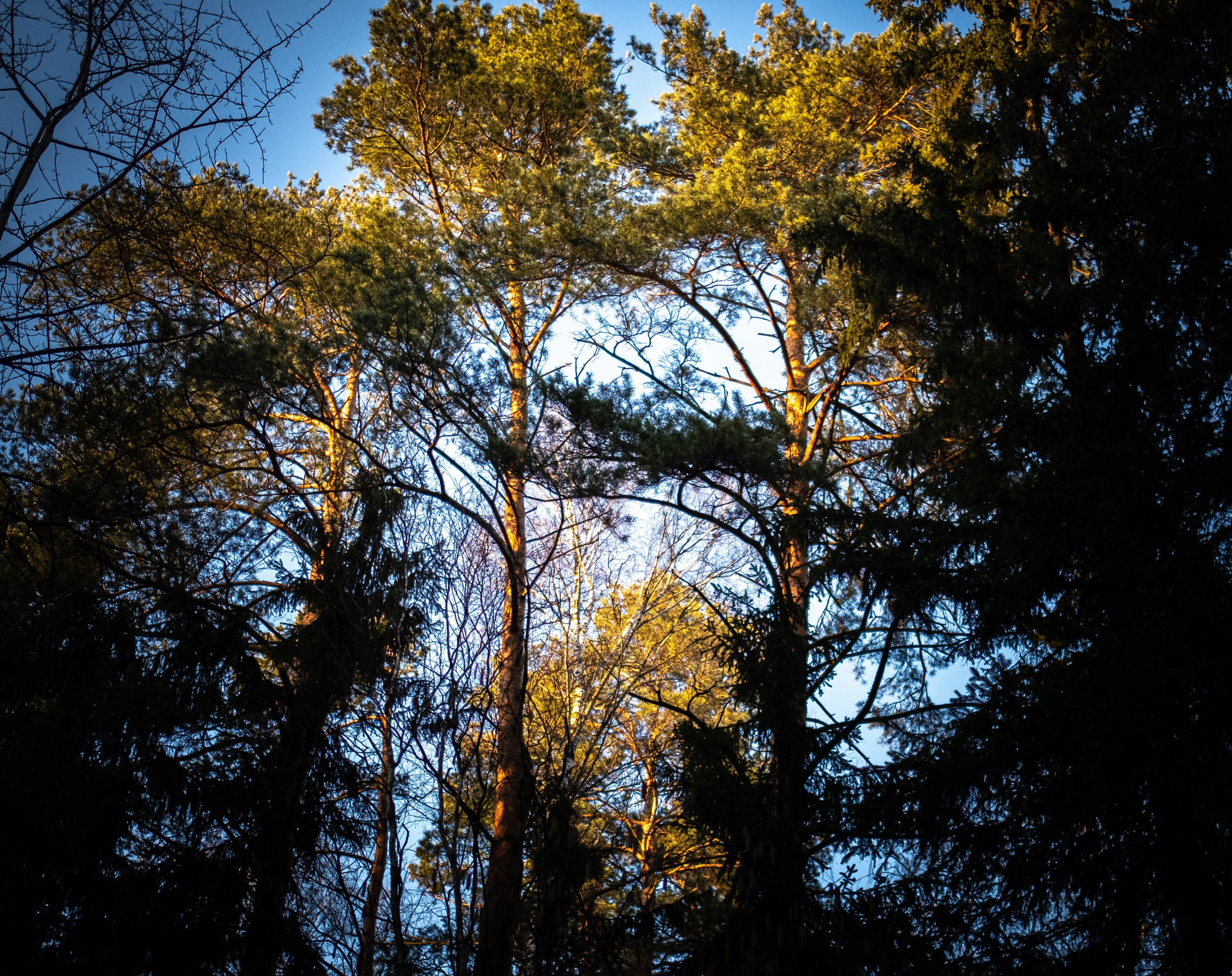 ПЕРЕДЕЛКИНО. ПОБУДЬ ЗДЕСЬ И ЦЕЛЕЕ БУДЕТ ЭТОТ МИР