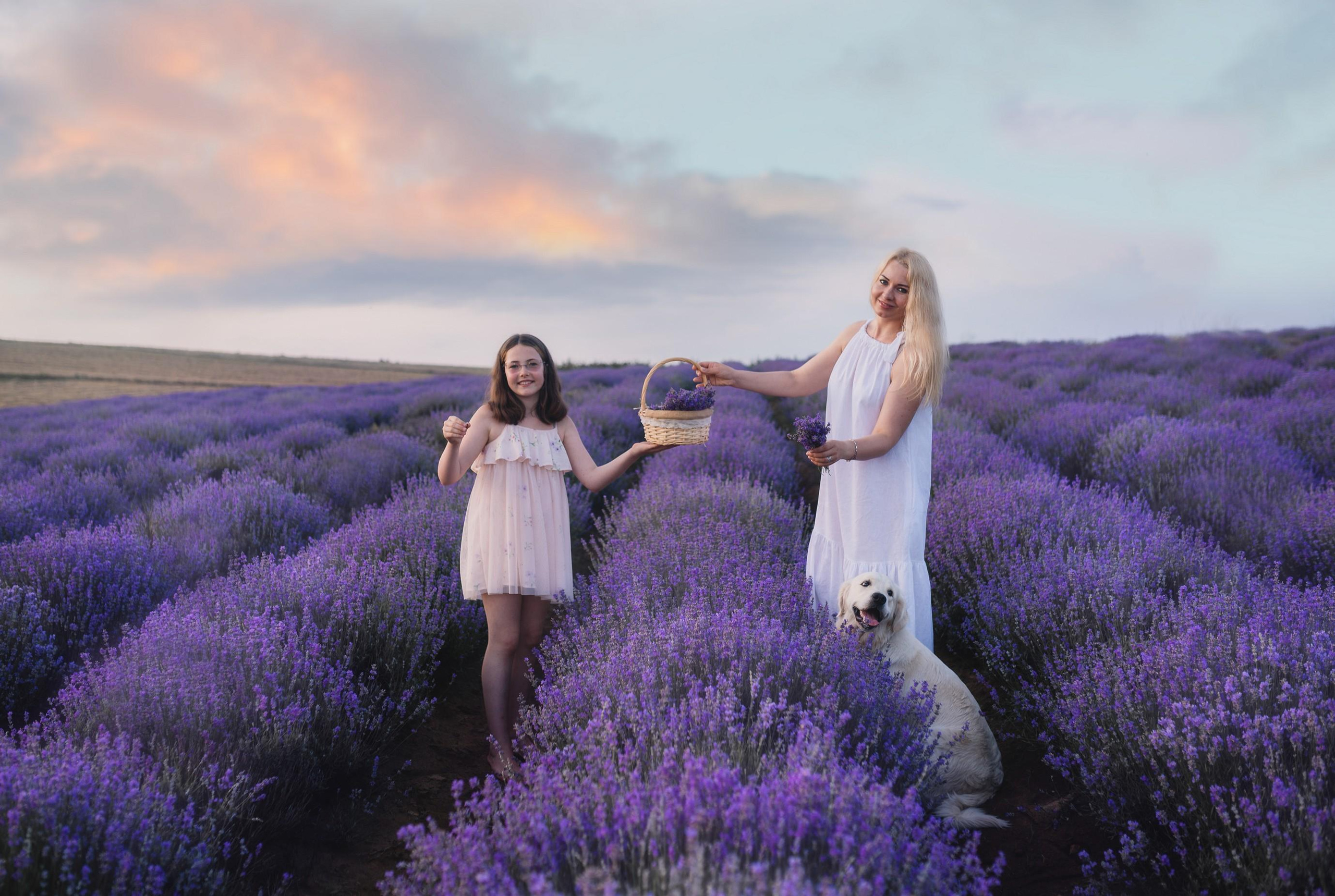 Лаванда в Болгарии, Фотограф в Болгарии, Фотограф в Созополе