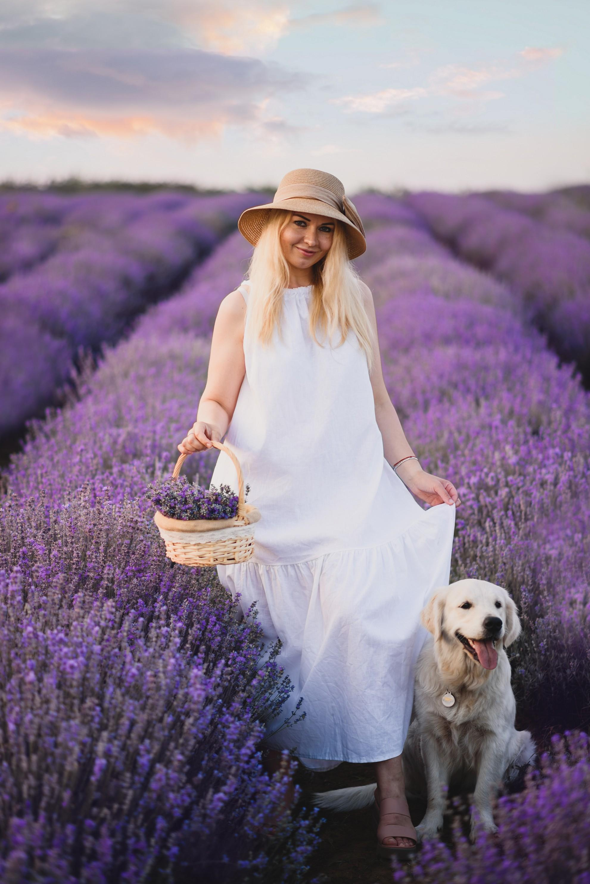 Лаванда в Болгарии, Фотограф в Болгарии, Фотограф в Созополе