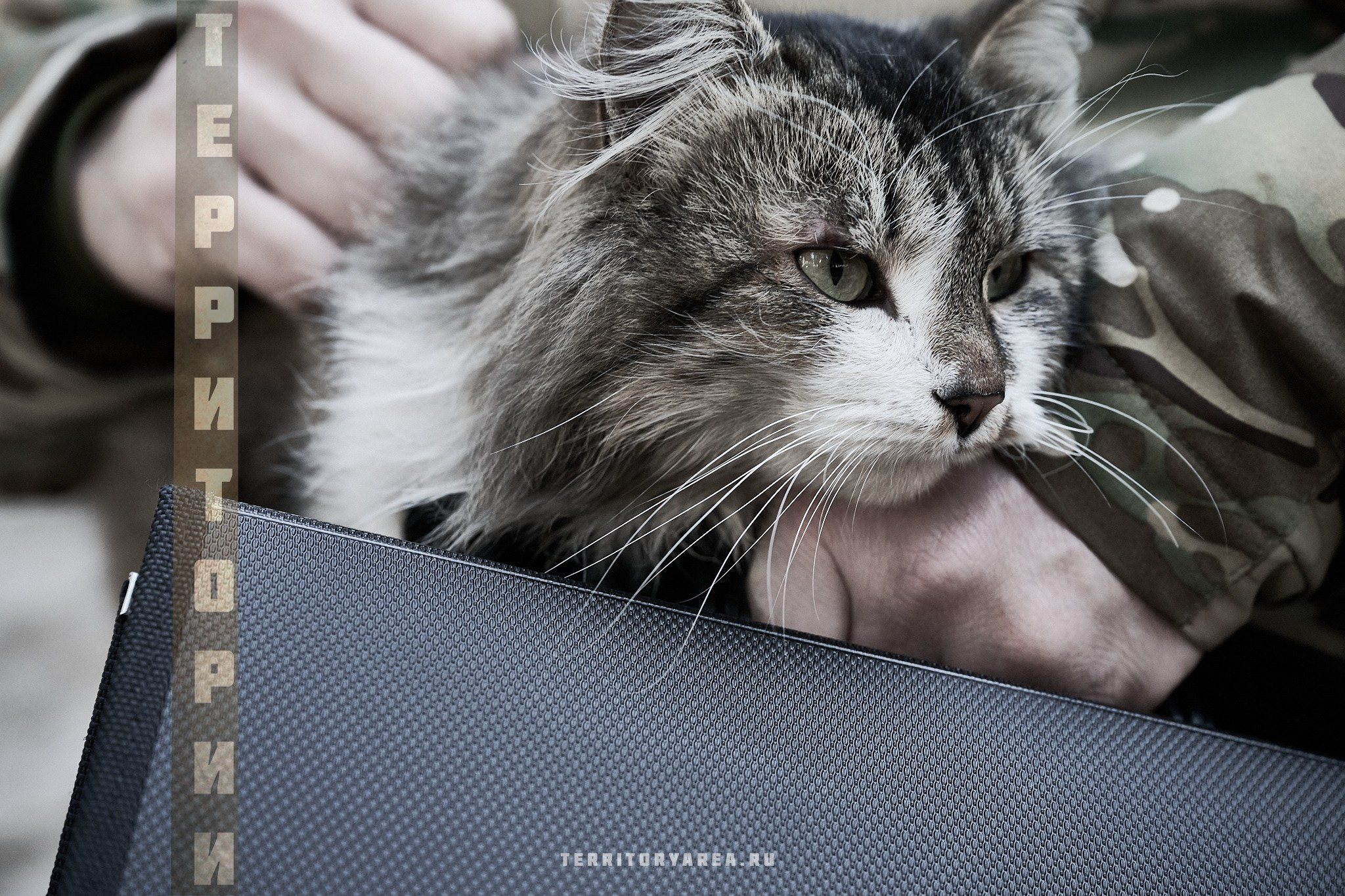 Открытки фотопроекта «Территории». Фотопроект «Территории»