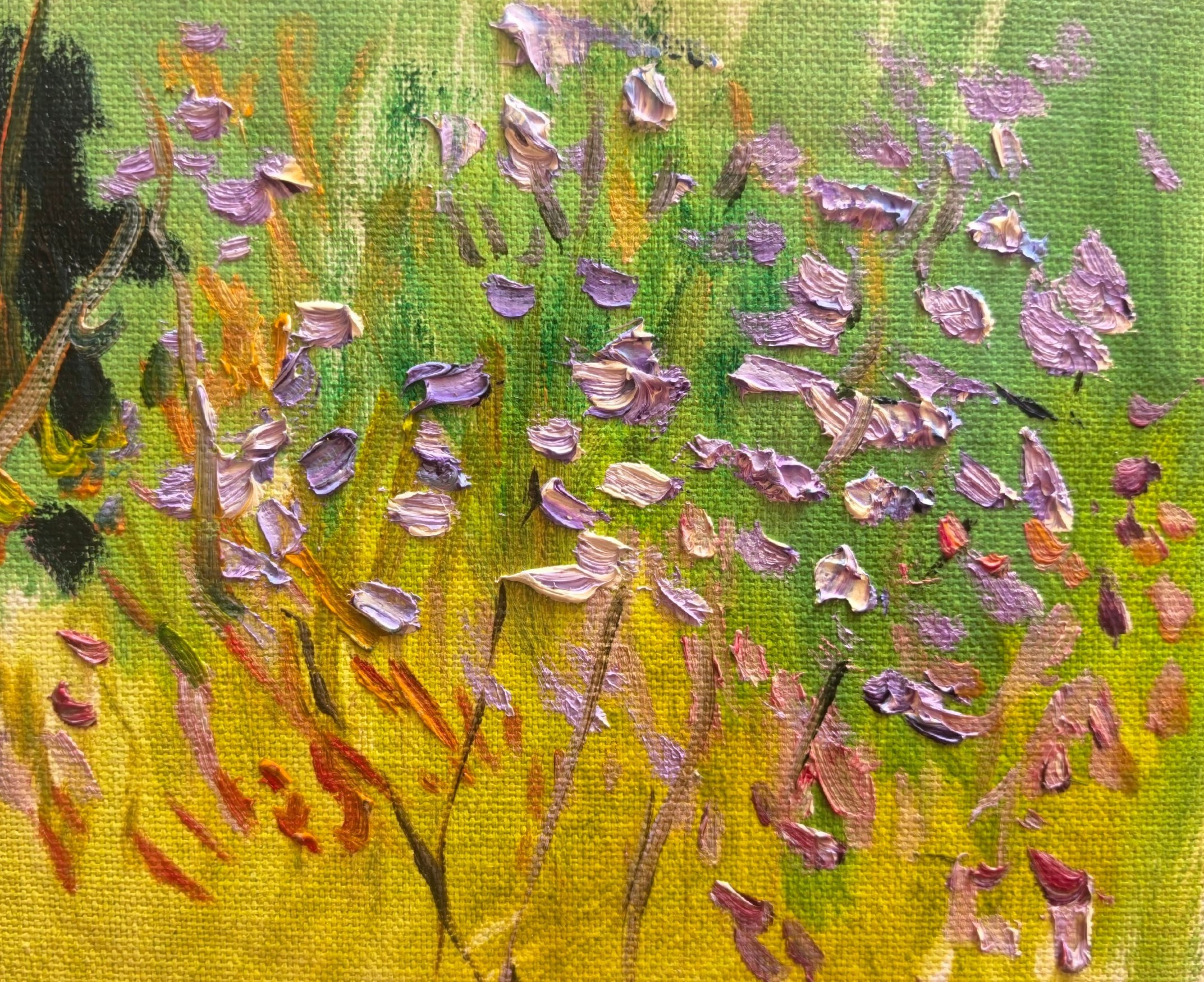 Этюды Камчатка. Художник и гид по Камчатке Евгений Чайкин