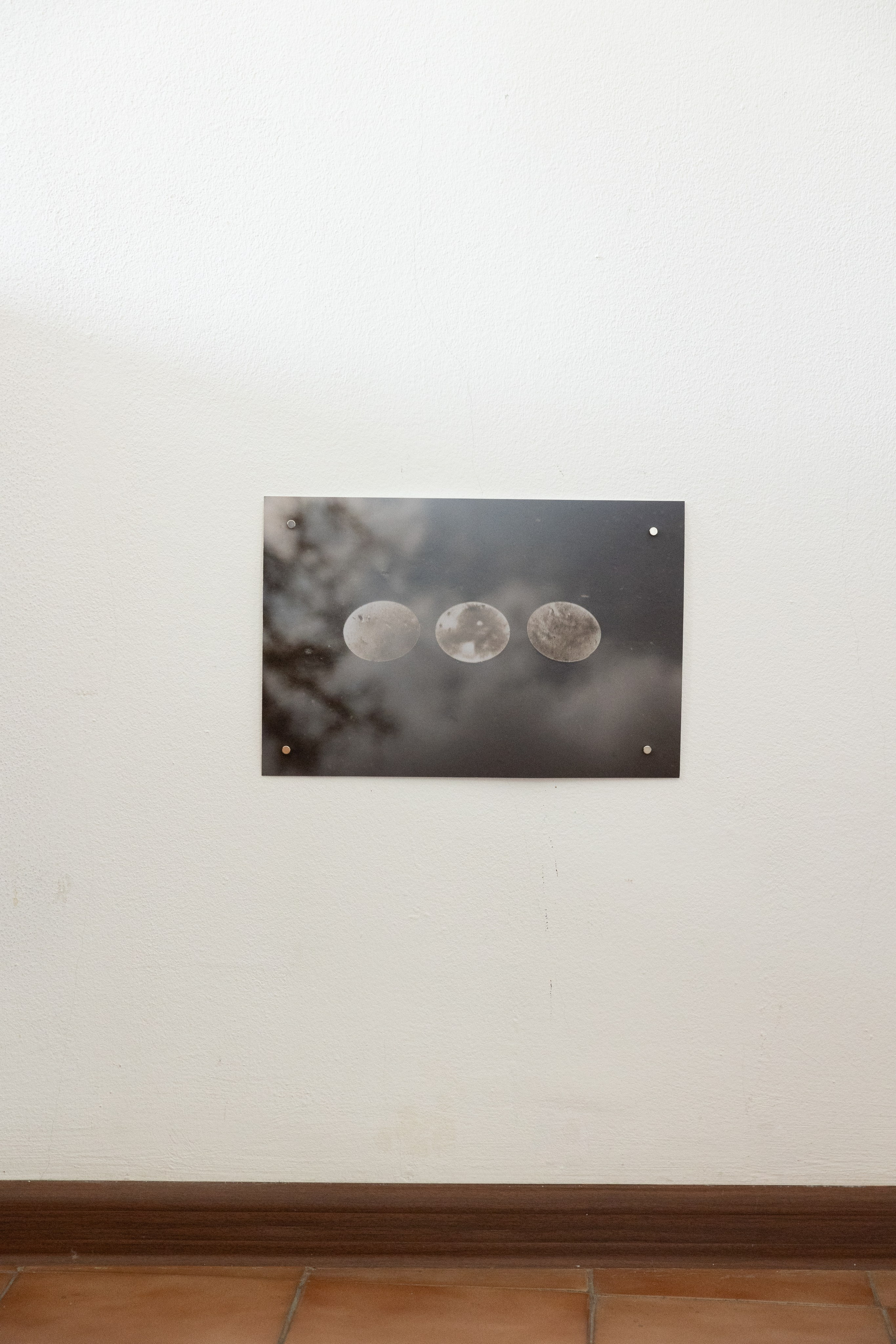 Personal exhibition Interior landscape 2025. Фотограф алина стерхова, алина стерхова фотограф, фотограф москва