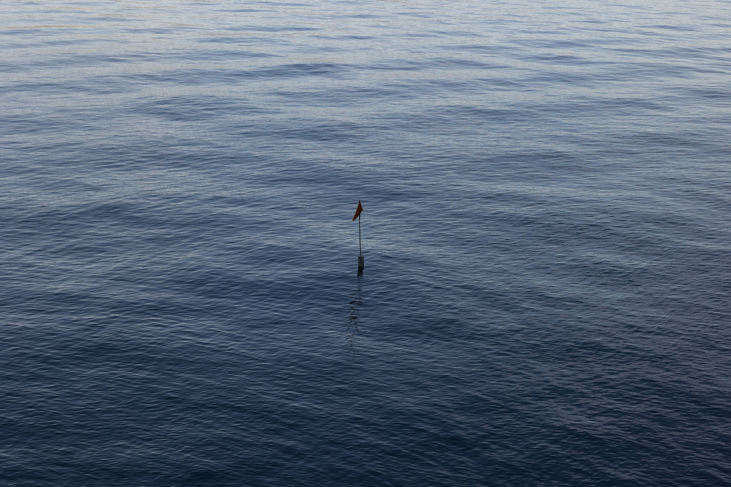 Art prints. Фотограф алина стерхова, алина стерхова фотограф, фотограф москва